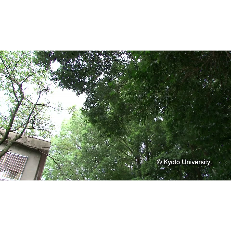 [金属製出土遺物保存処理室の入り口外観] (1)