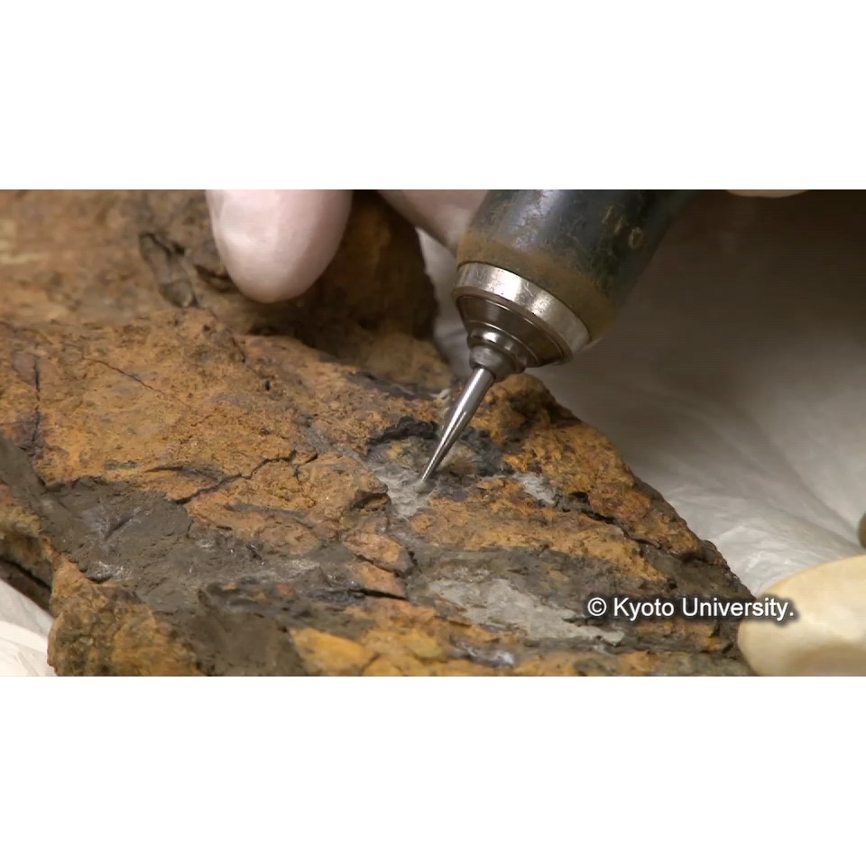 樹脂抜き(解体) (1)