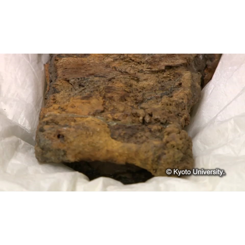 樹脂抜き(解体) (1)