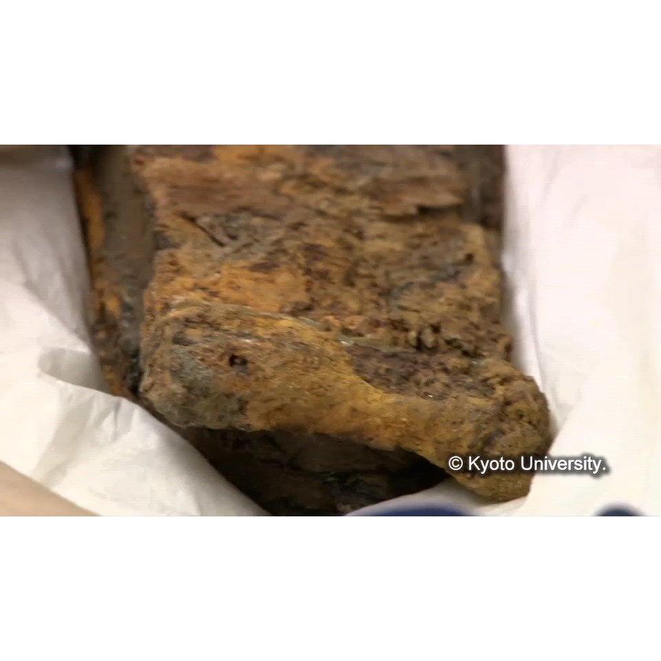 樹脂抜き(解体) (1)