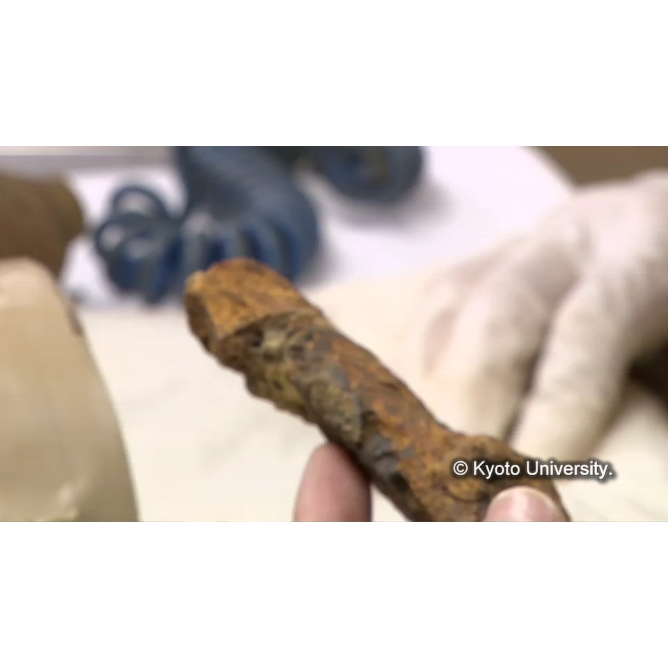 樹脂抜き(解体) (1)