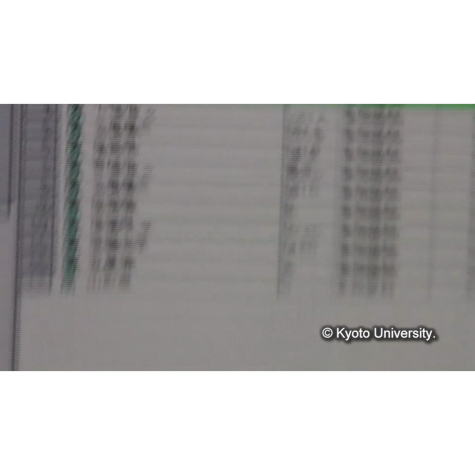 脱塩(イオンクロマトグラフィー) (2)