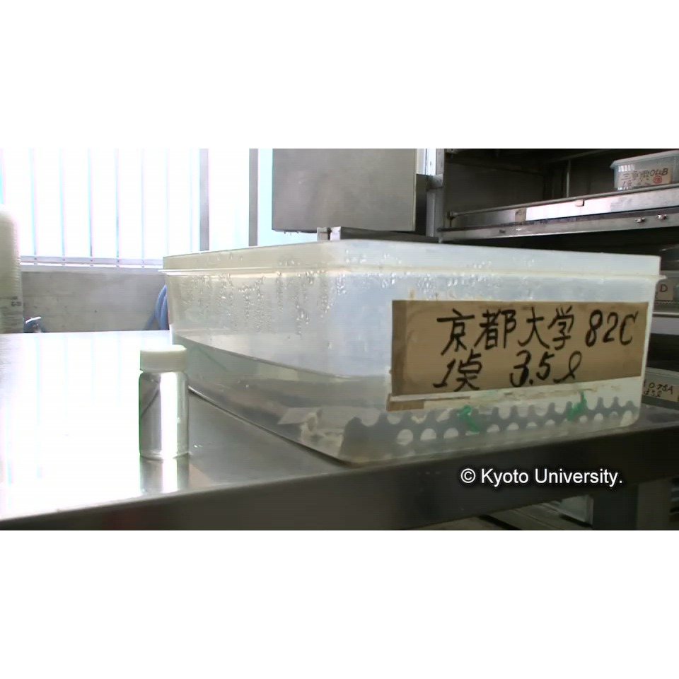 脱塩(イオンクロマトグラフィー) (1)