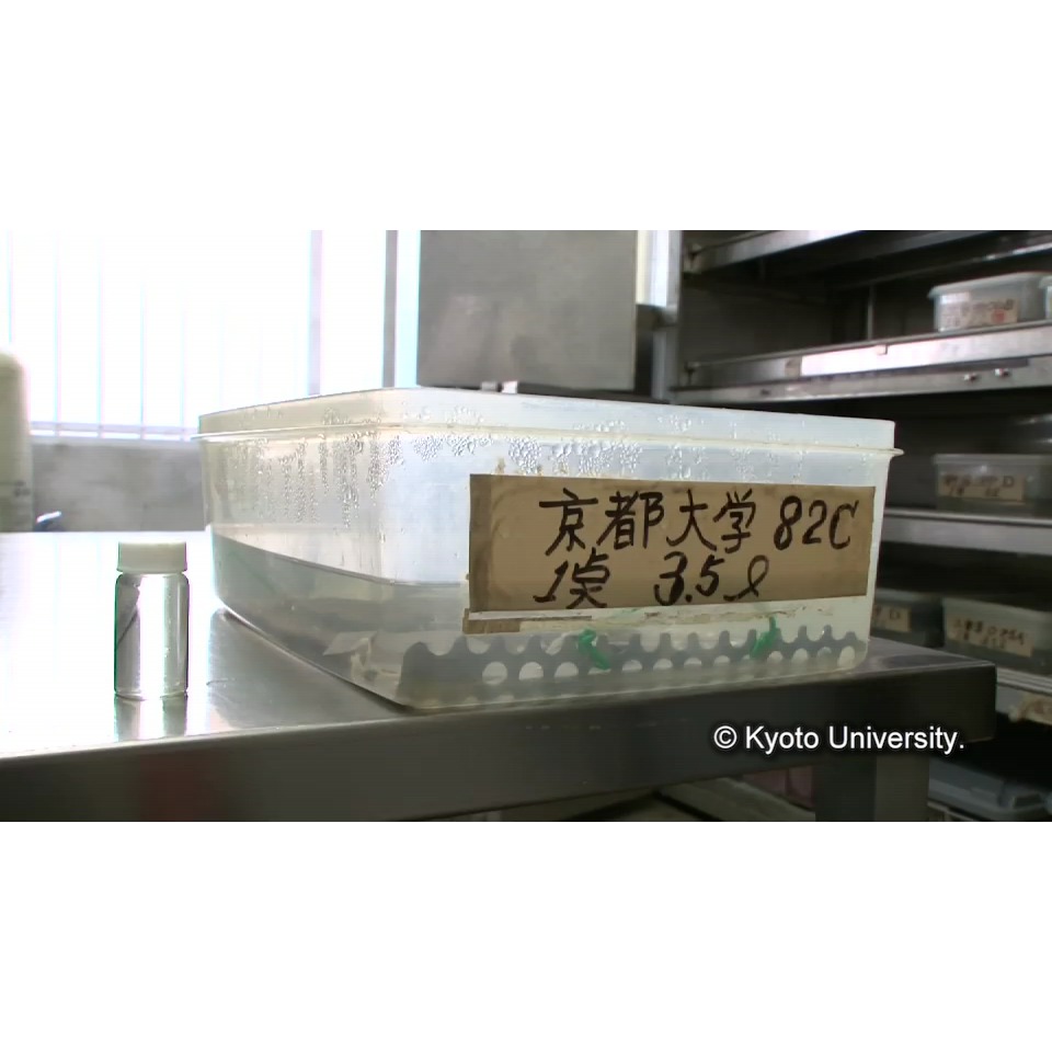 脱塩(イオンクロマトグラフィー) (1)