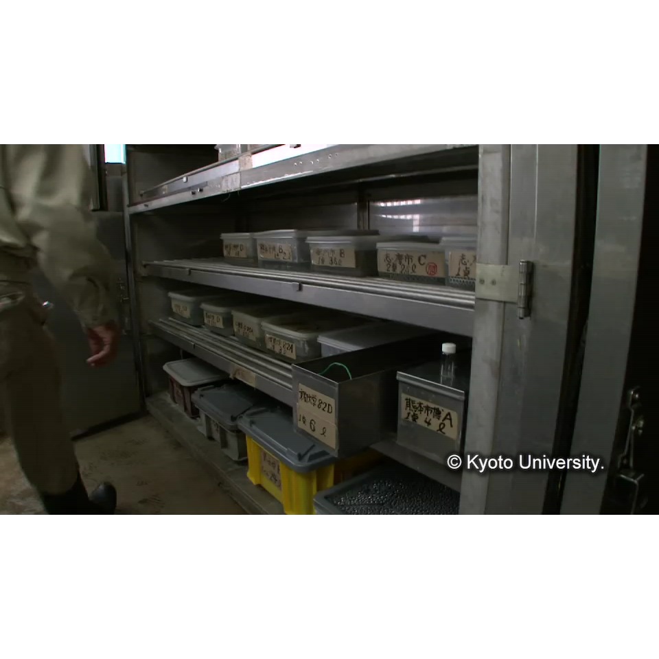 脱塩(イオンクロマトグラフィー) (1)