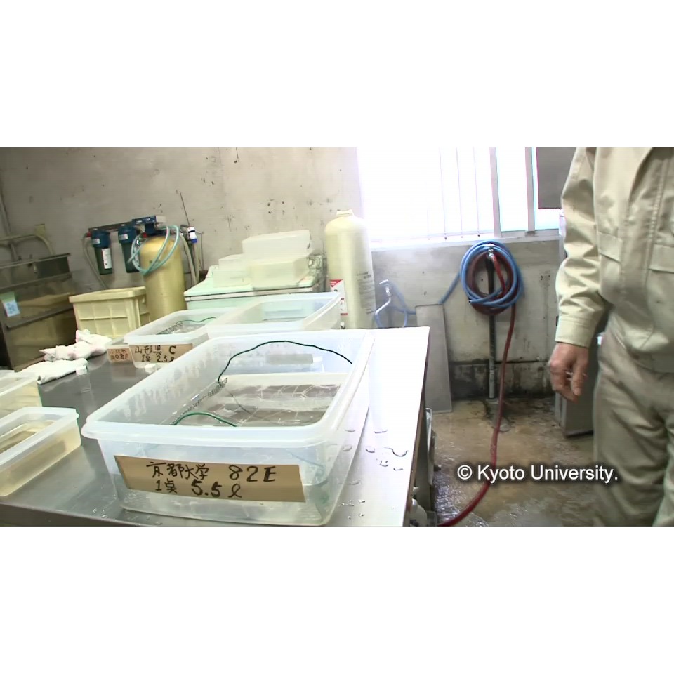 脱塩(イオンクロマトグラフィー) (1)