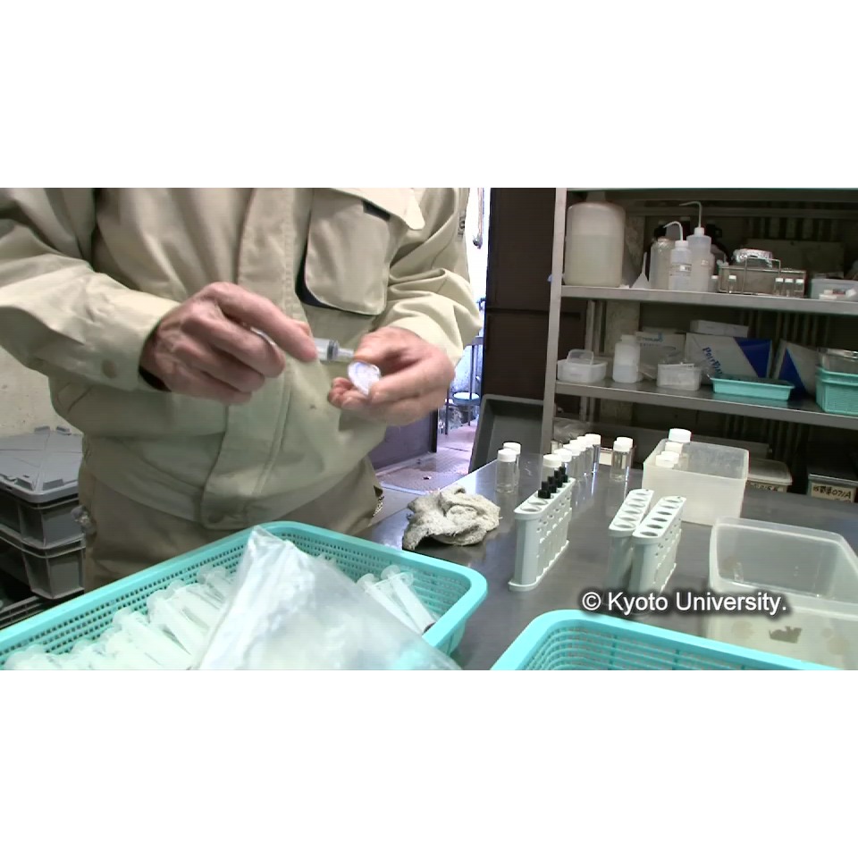 脱塩(イオンクロマトグラフィー) (1)