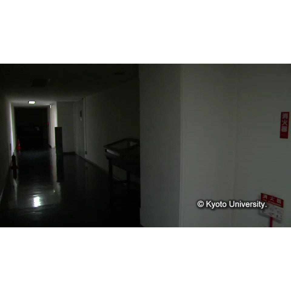 [特別収蔵庫へ納める] (1)