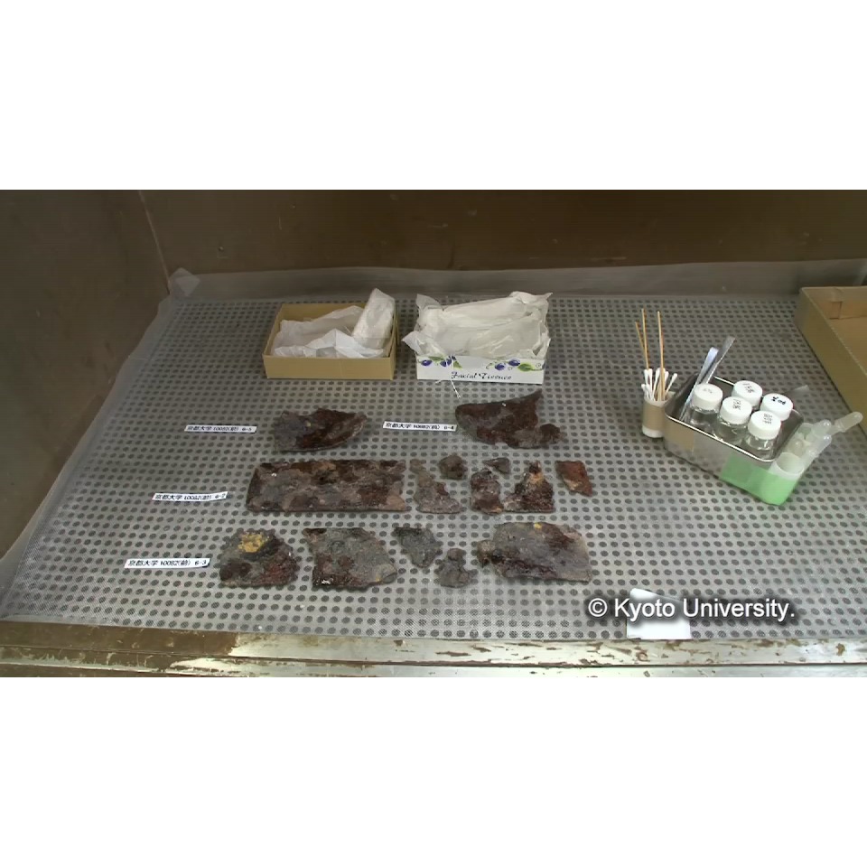 脱塩(前処理) (1)