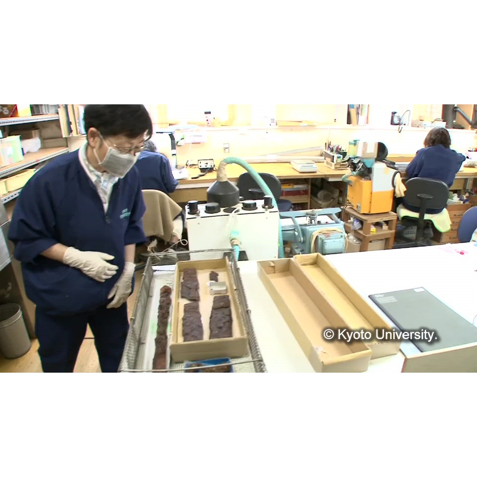 コーティング (1)