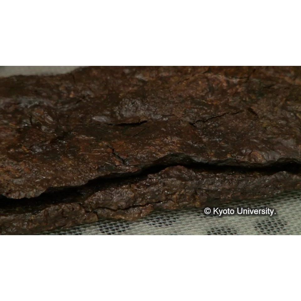 コーティング (1)