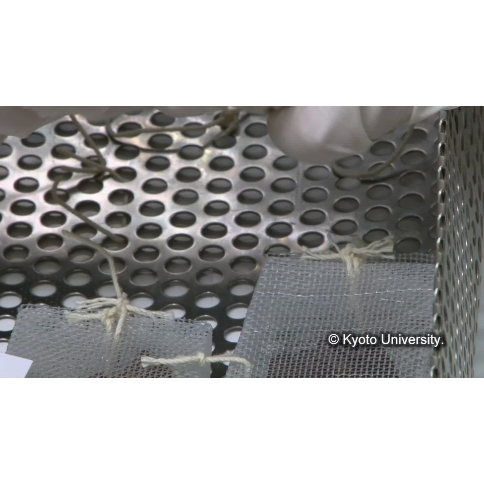 樹脂含浸(箱出し) (1)