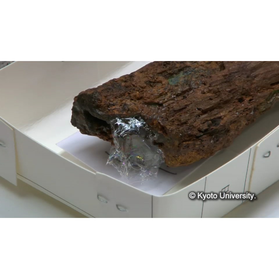 樹脂含浸(樹脂取り) (1)