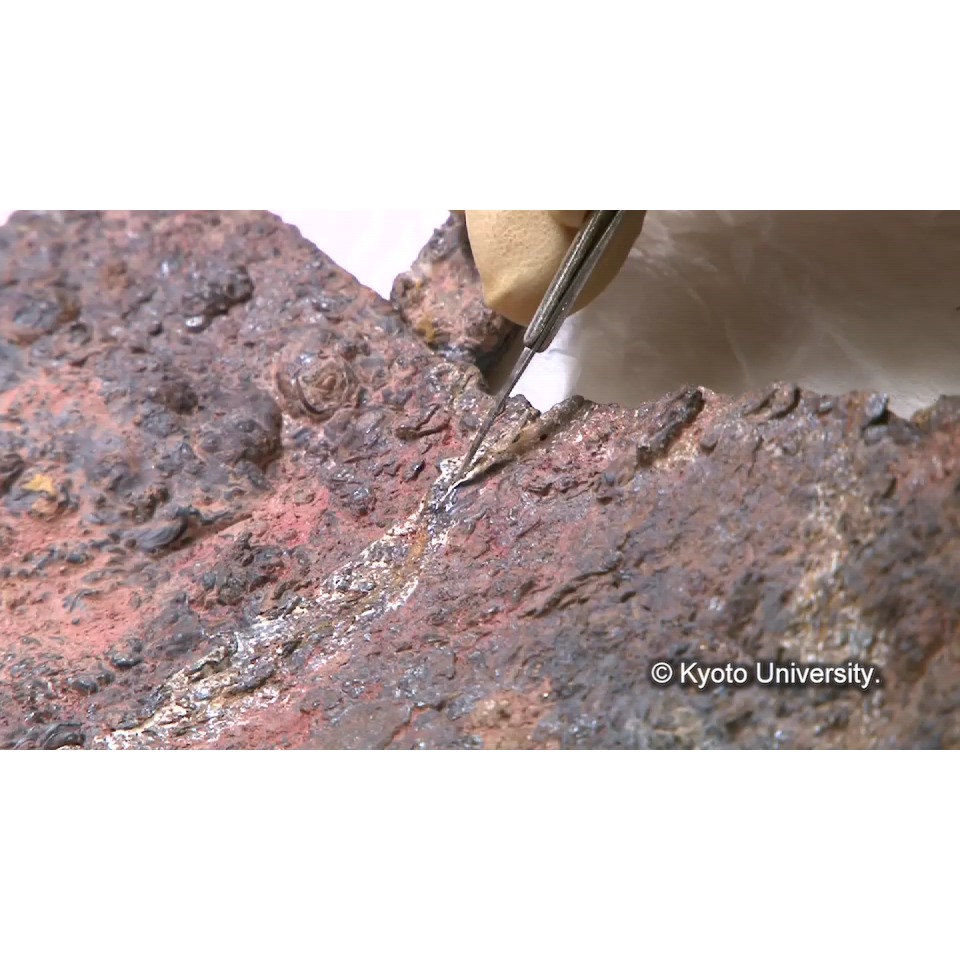 クリーニング (1)