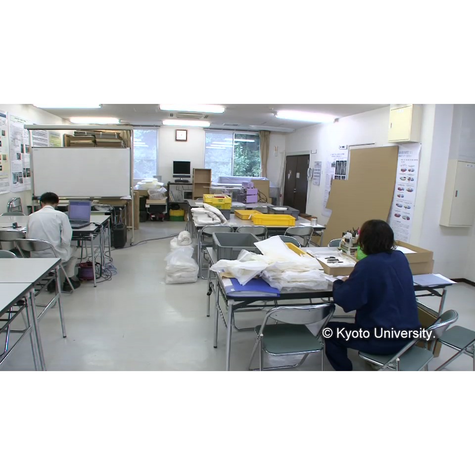 蛍光X線分析 (1)