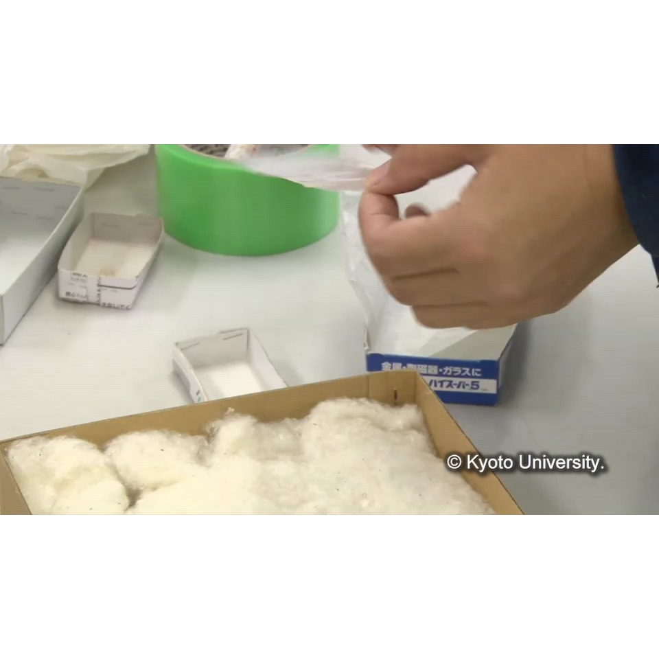 点検・箱出し (1)