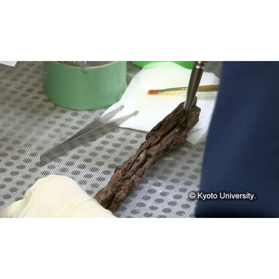 コーティング (1)