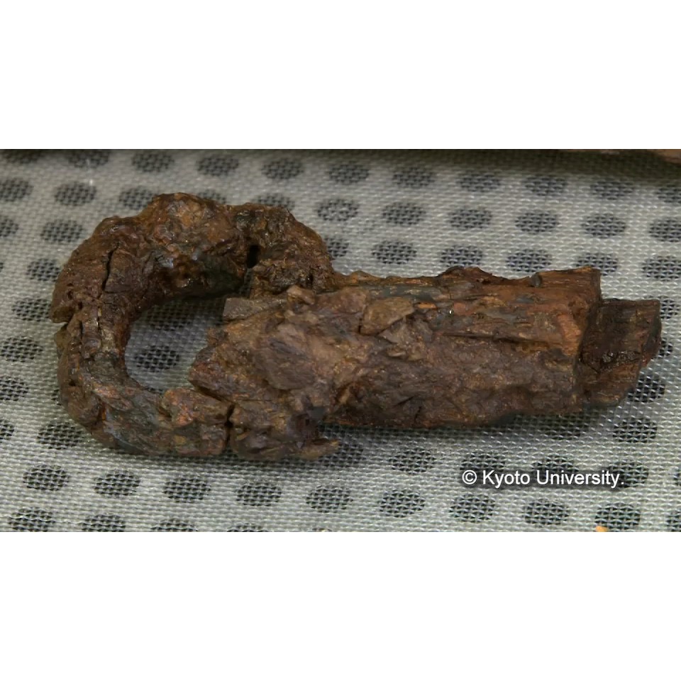 コーティング (1)