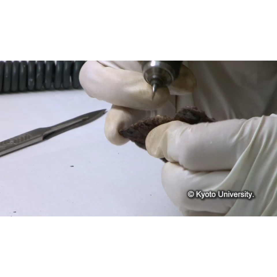 樹脂含浸前の準備(クリーニング) (1)