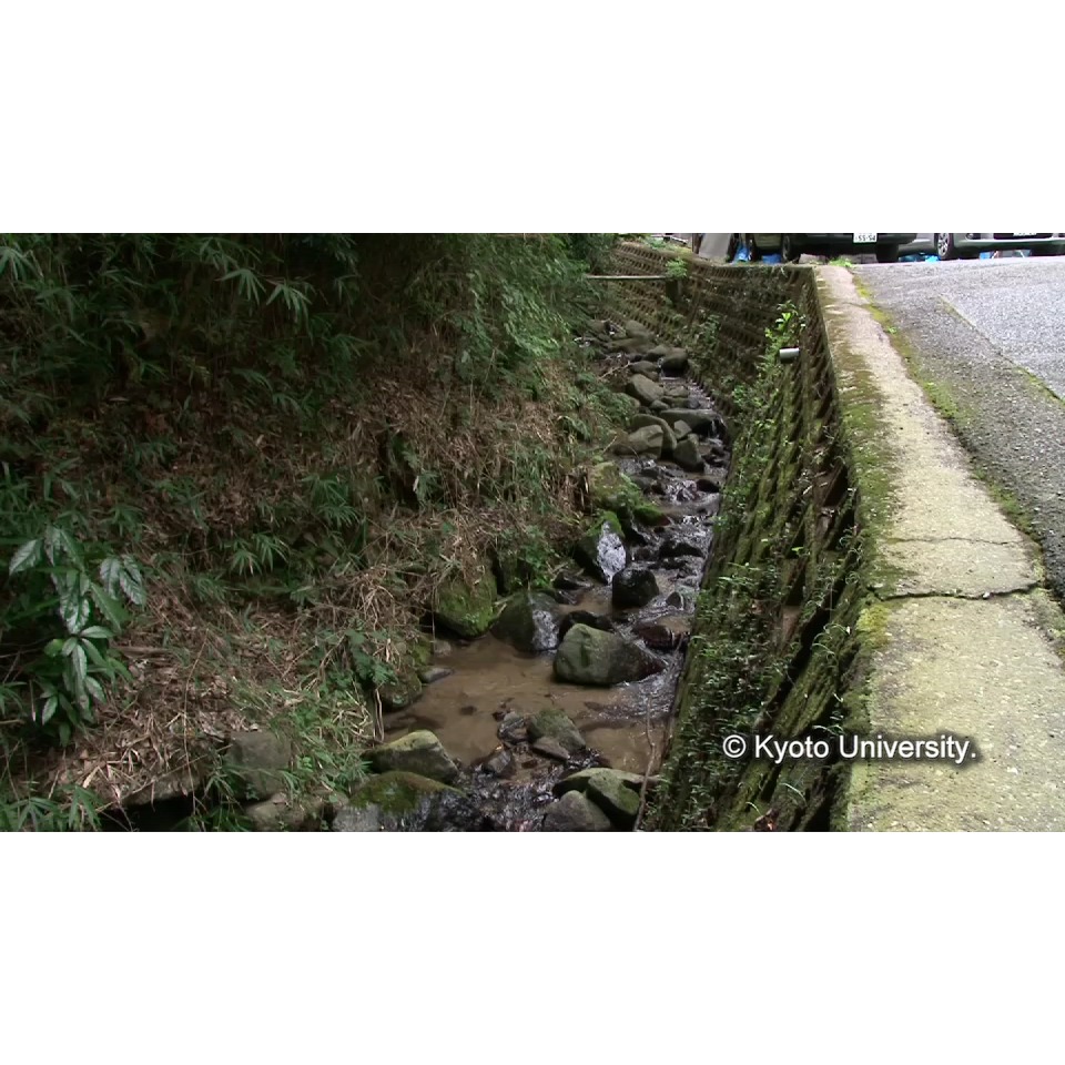 [センター横の川] (1)