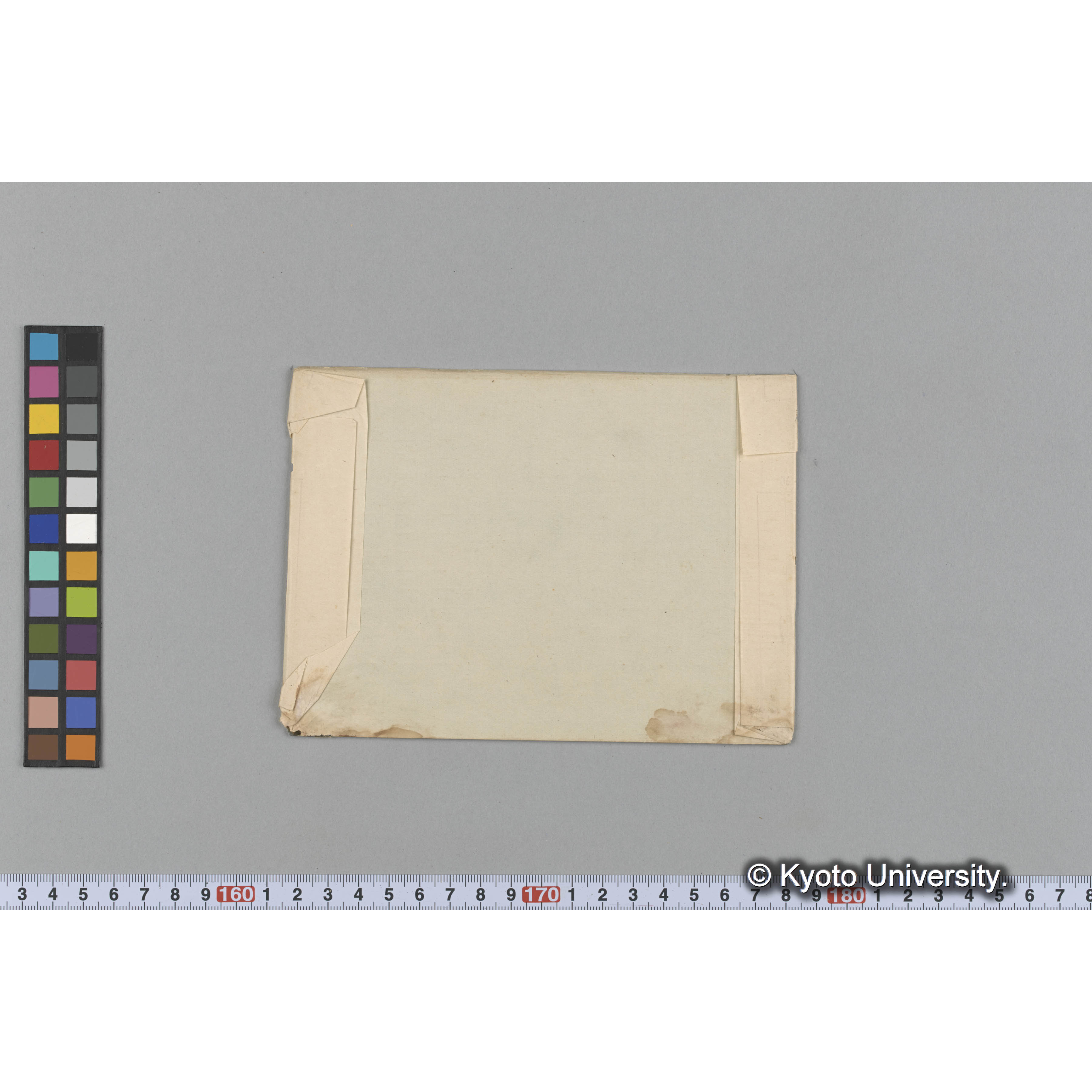 Eucheuma amakusaensis　/ 甑島 (2)