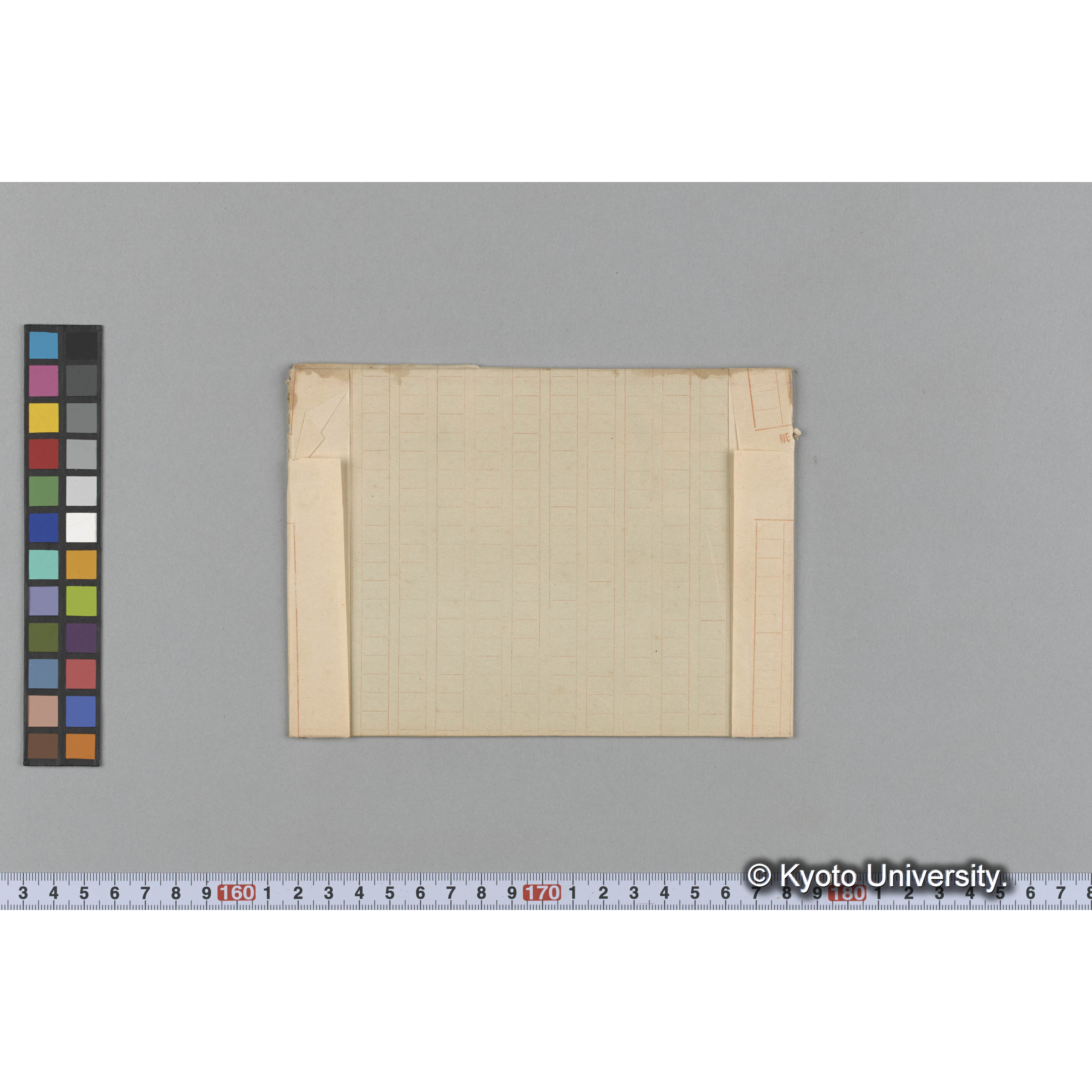 Enteromorpha / 商品陳列 / 青海苔 (2)