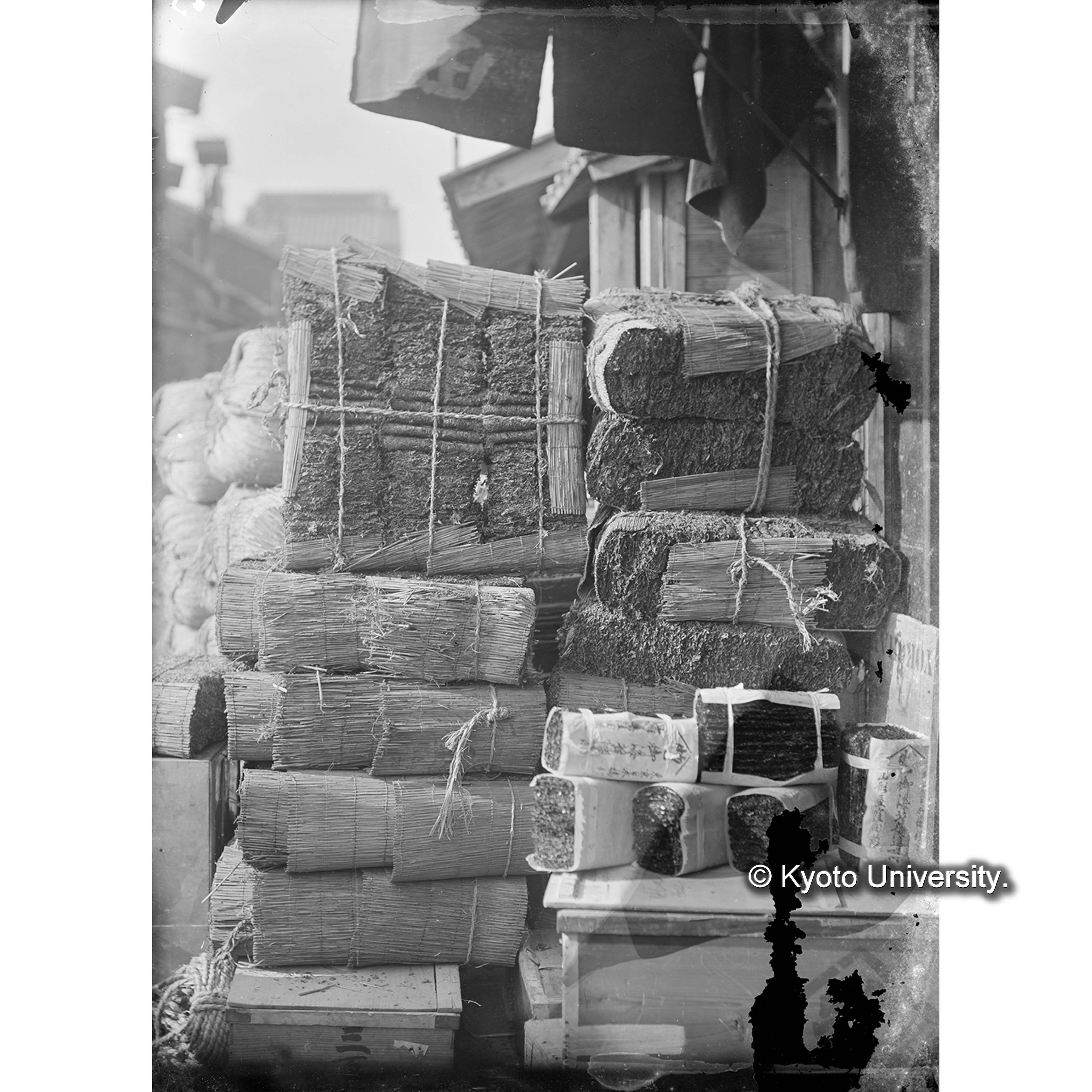 Enteromorpha / 商品陳列 / 青海苔 (4)