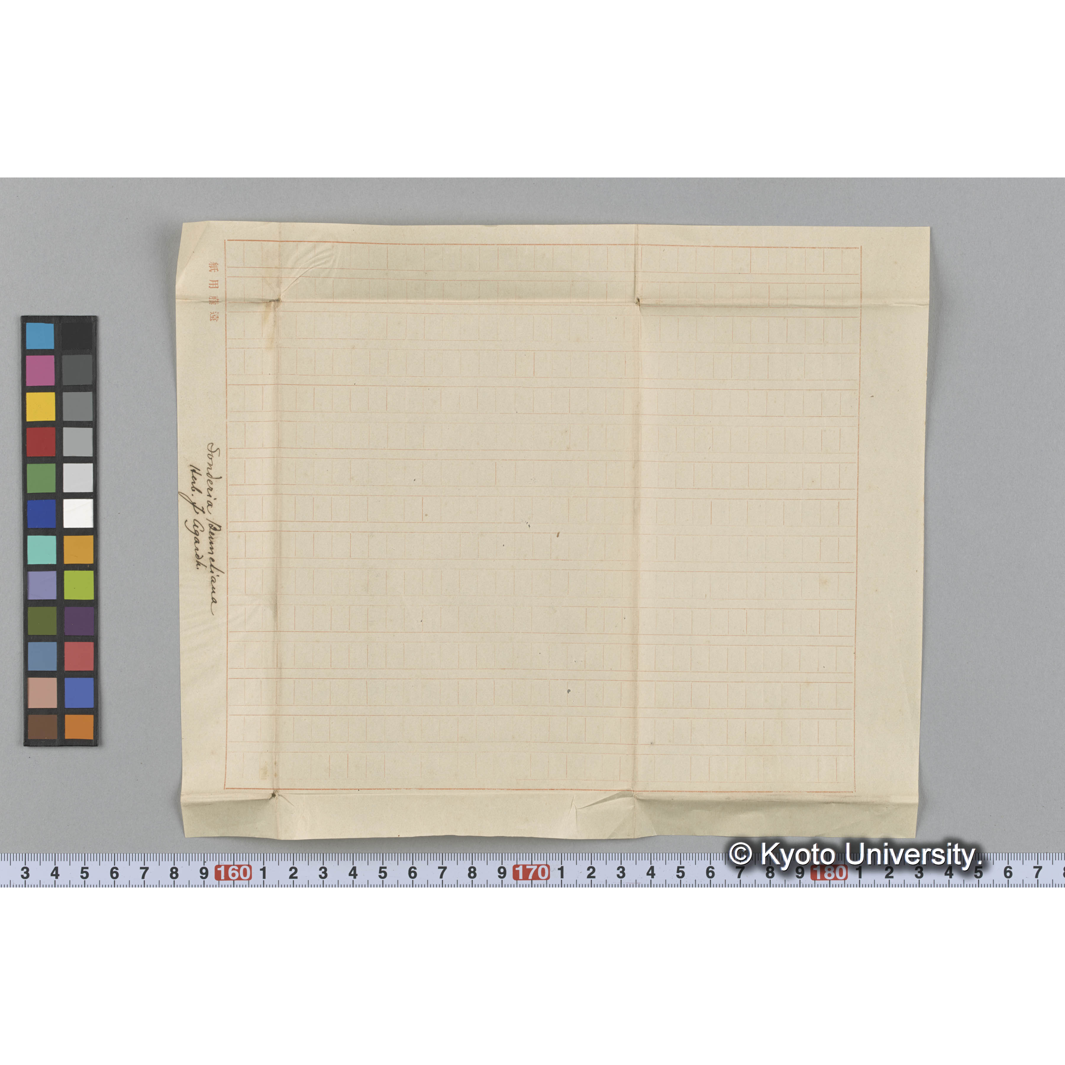 Sonderia Bennetiana / Herb. J. Agardh. （写真帳番号 108） (3)