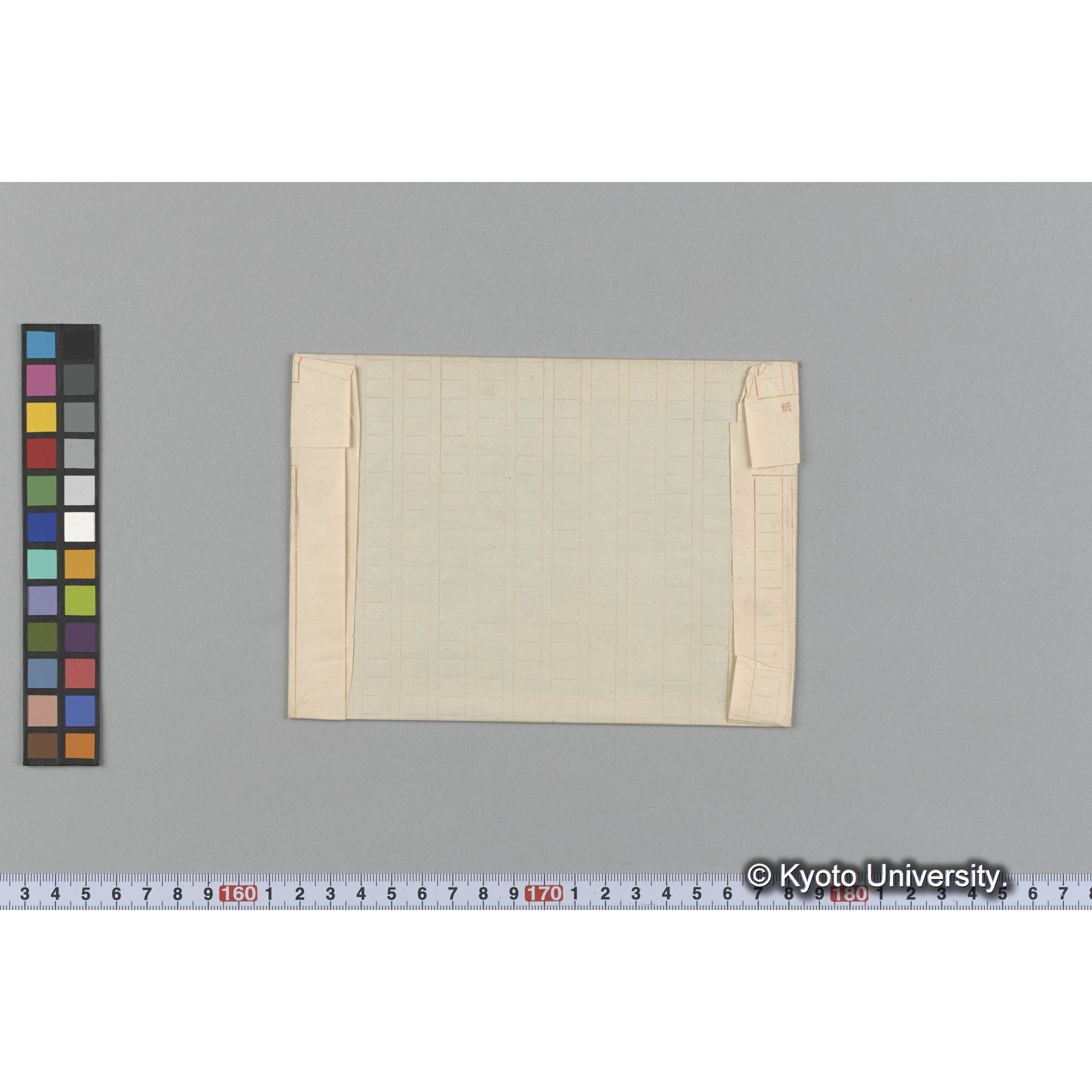 Kallymenia dentata / Herb. J. Ag. （写真帳番号 76） (2)