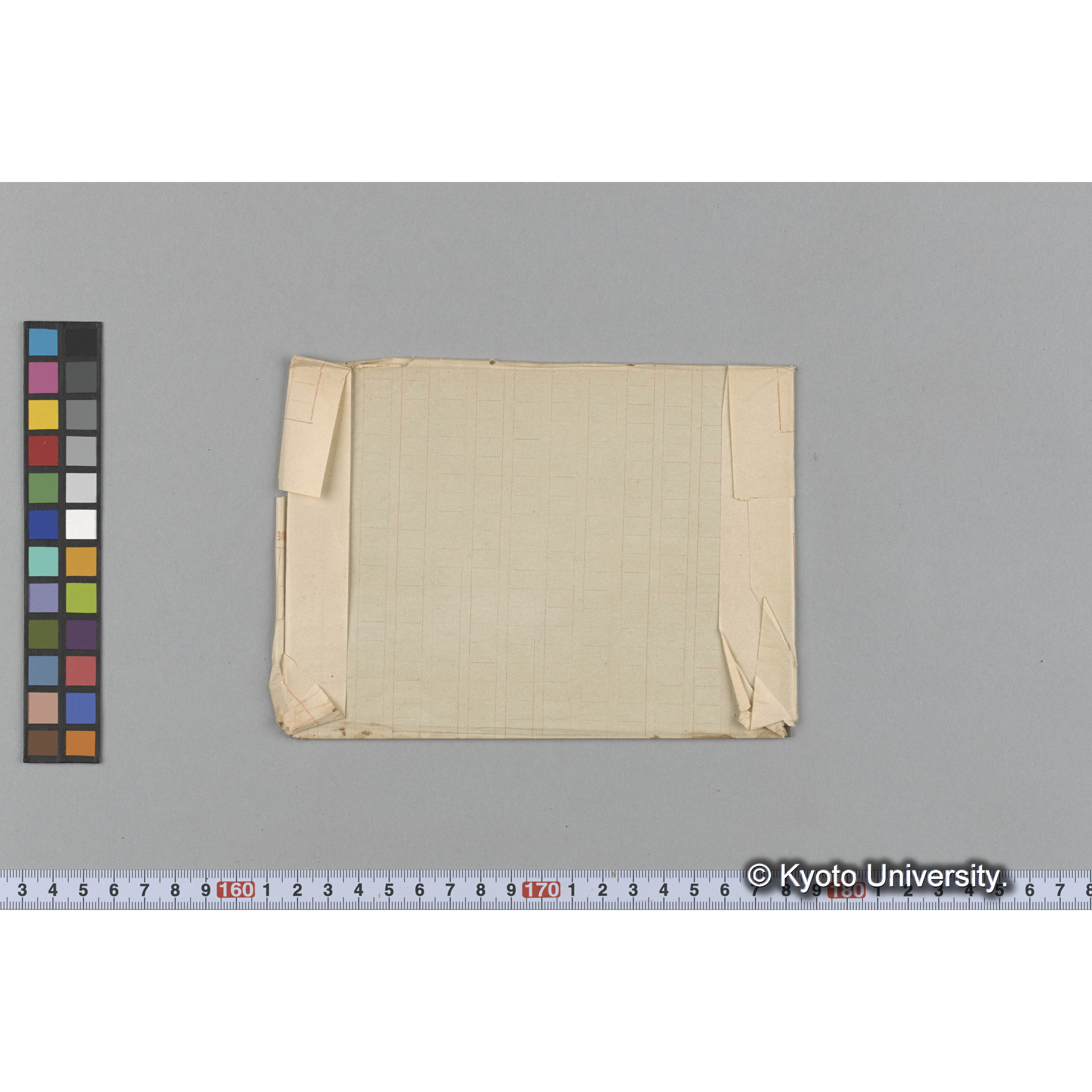 Kjellmaniella crassa / Muroran / April 1917 (2)