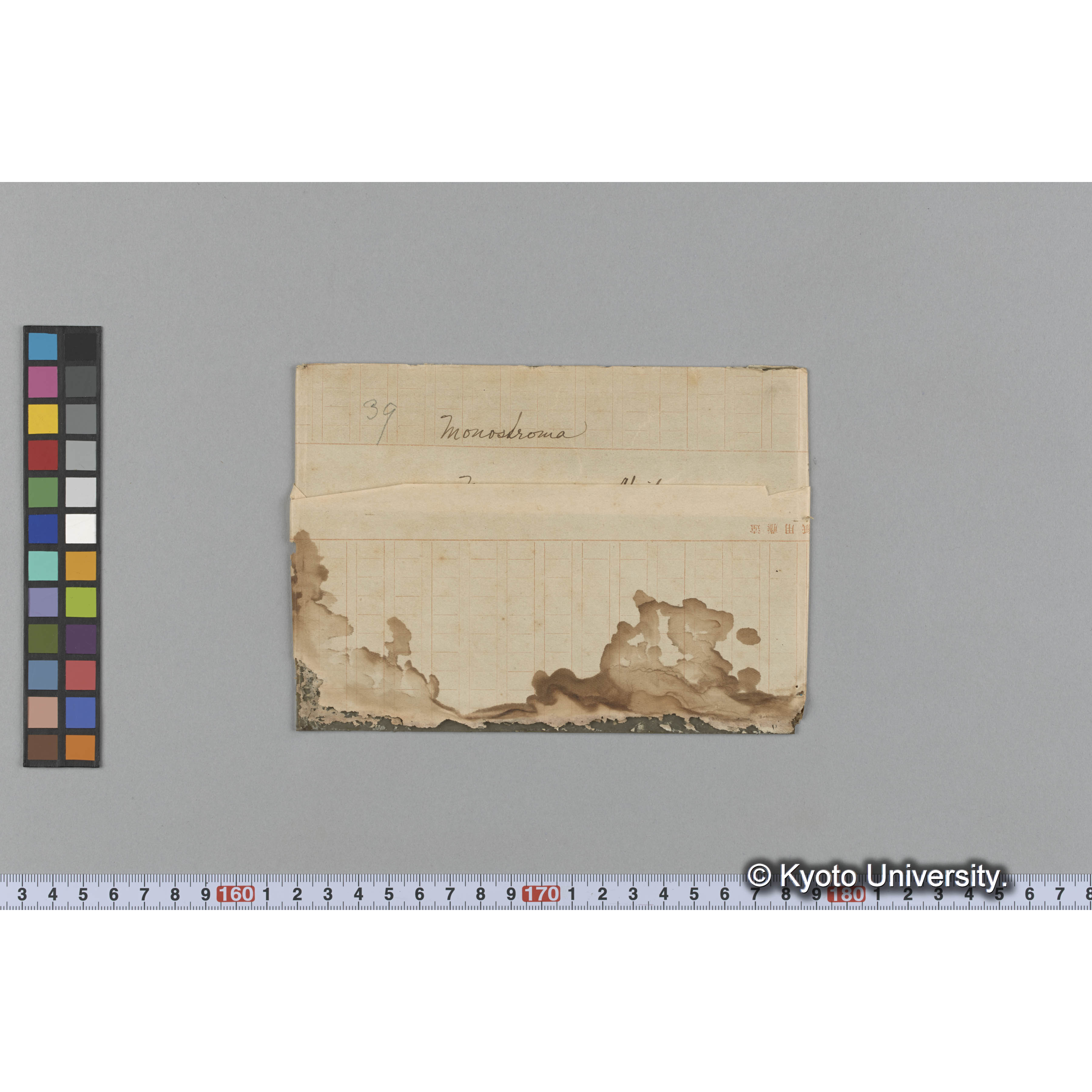 Monostroma / Muroran / April 1917 (1)