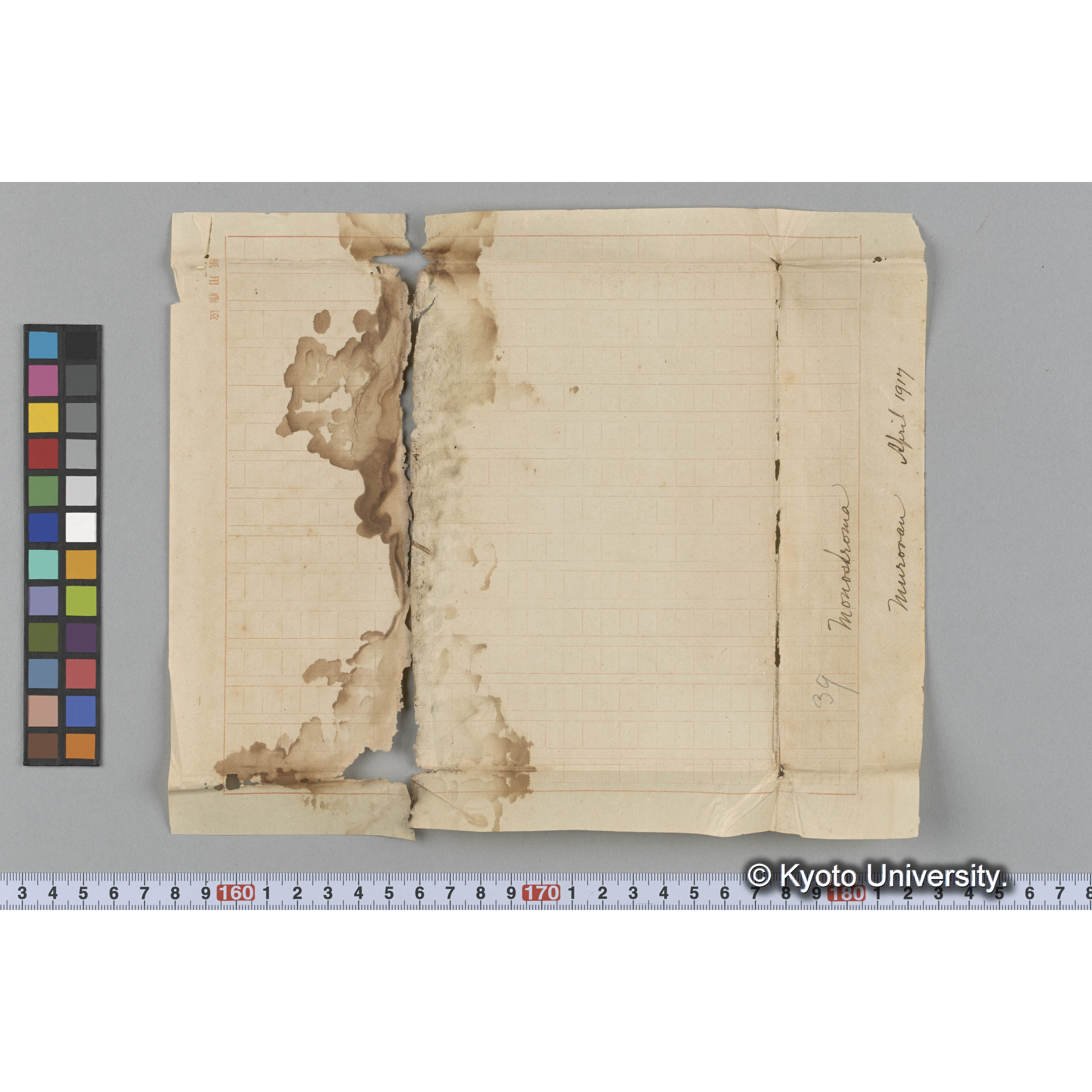 Monostroma / Muroran / April 1917 (3)