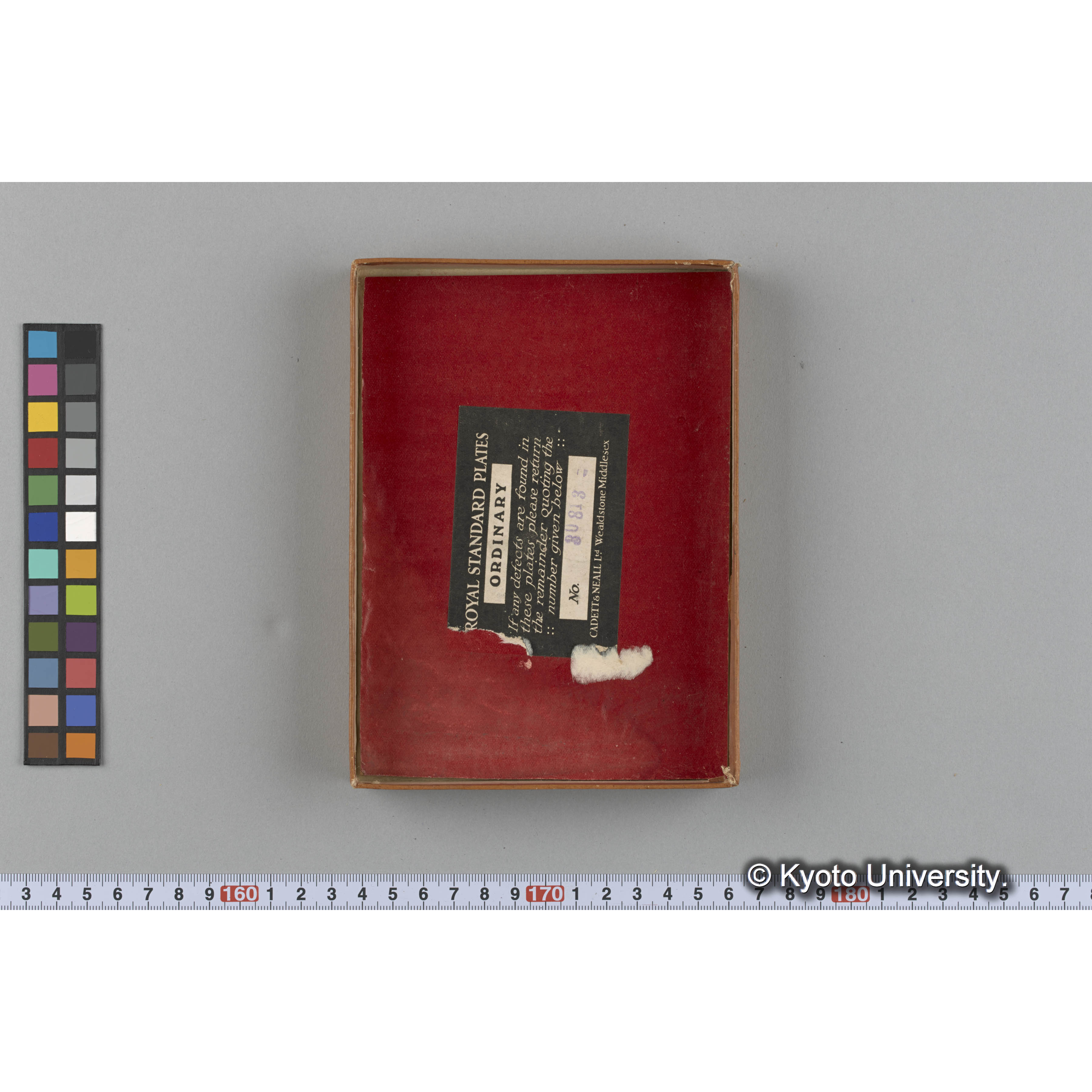 [ガラス乾板収納箱4.]algae 原板12 (3)