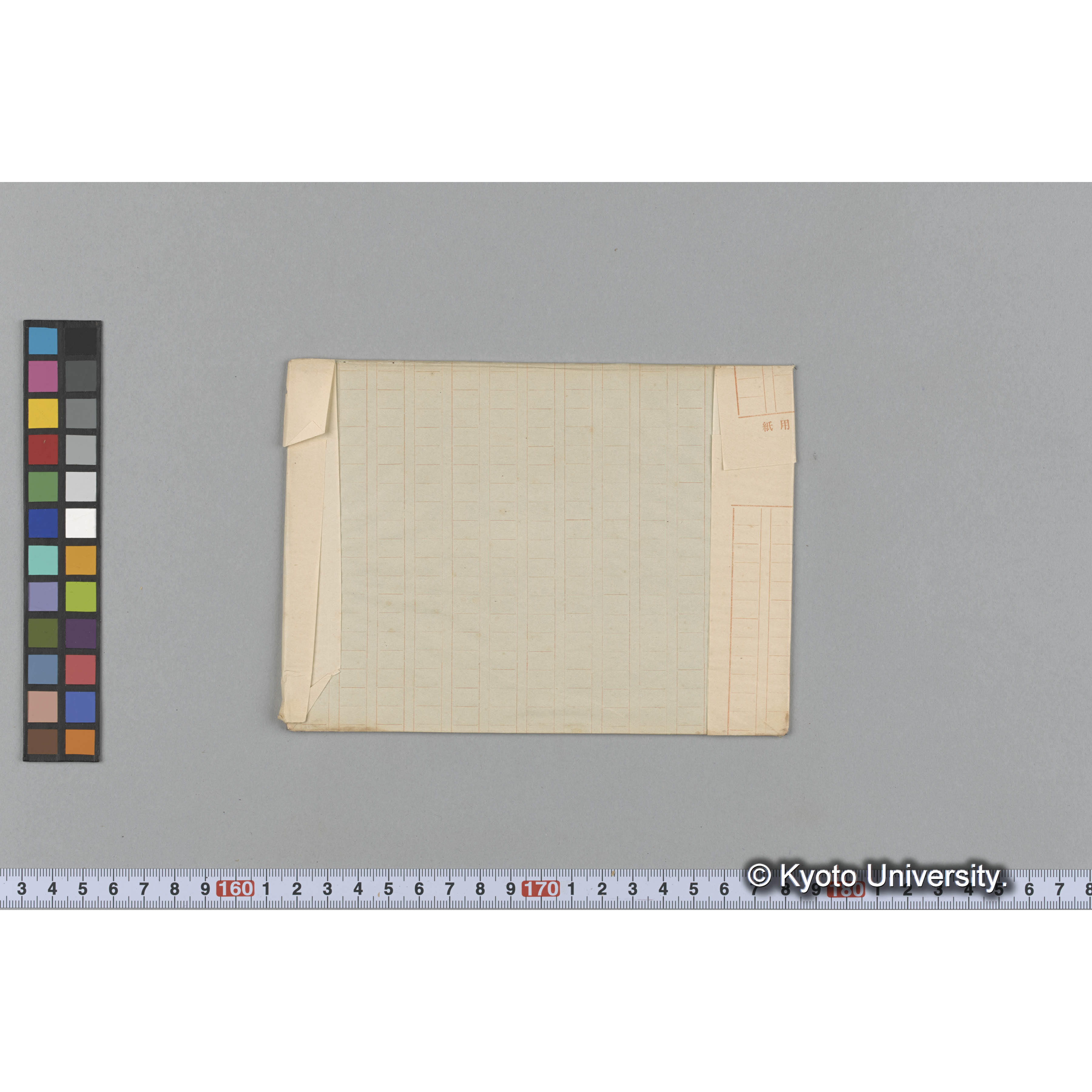 Thalassiophyllum clathrus / 占守 (2)