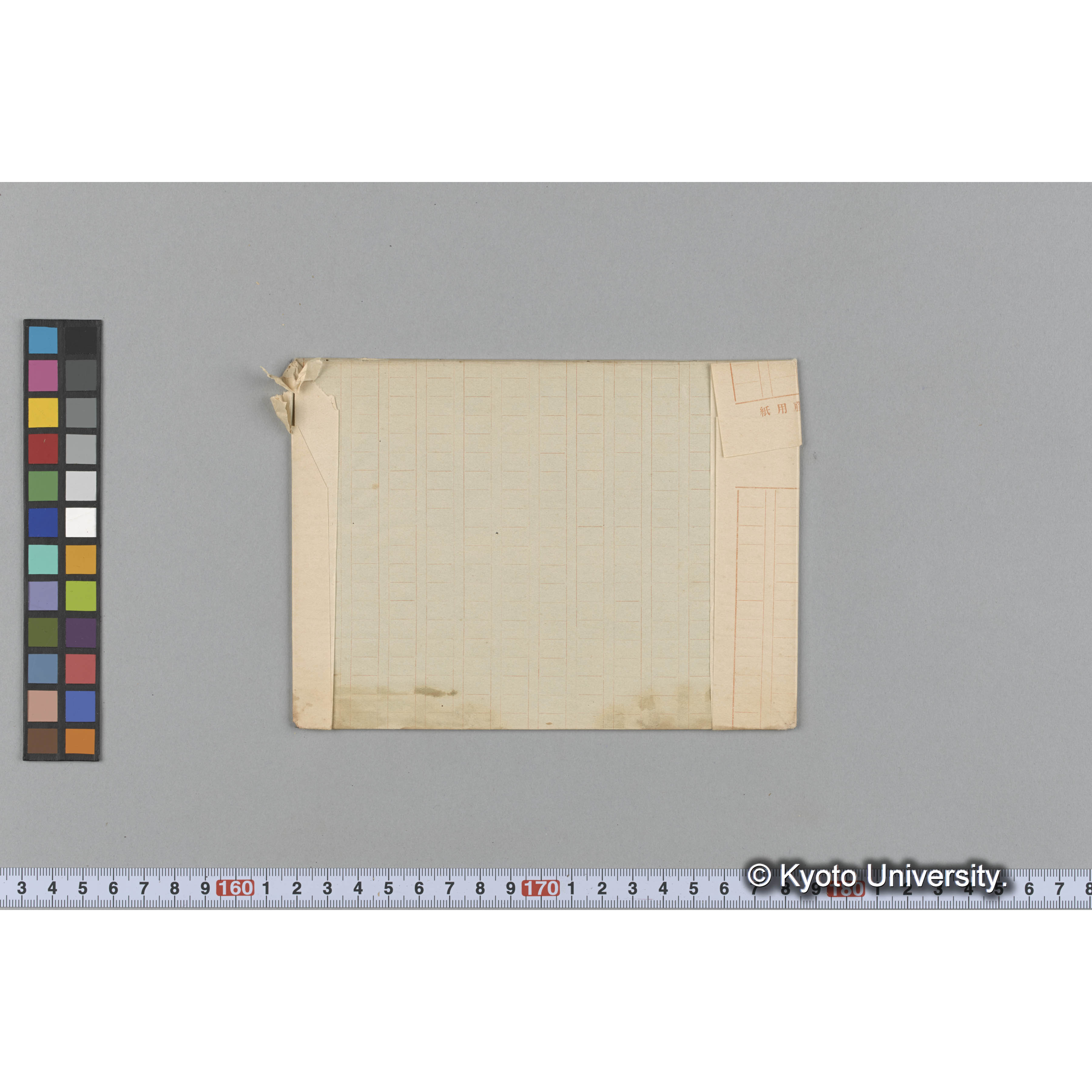 Costaria Turneri / Oshoro. (2)