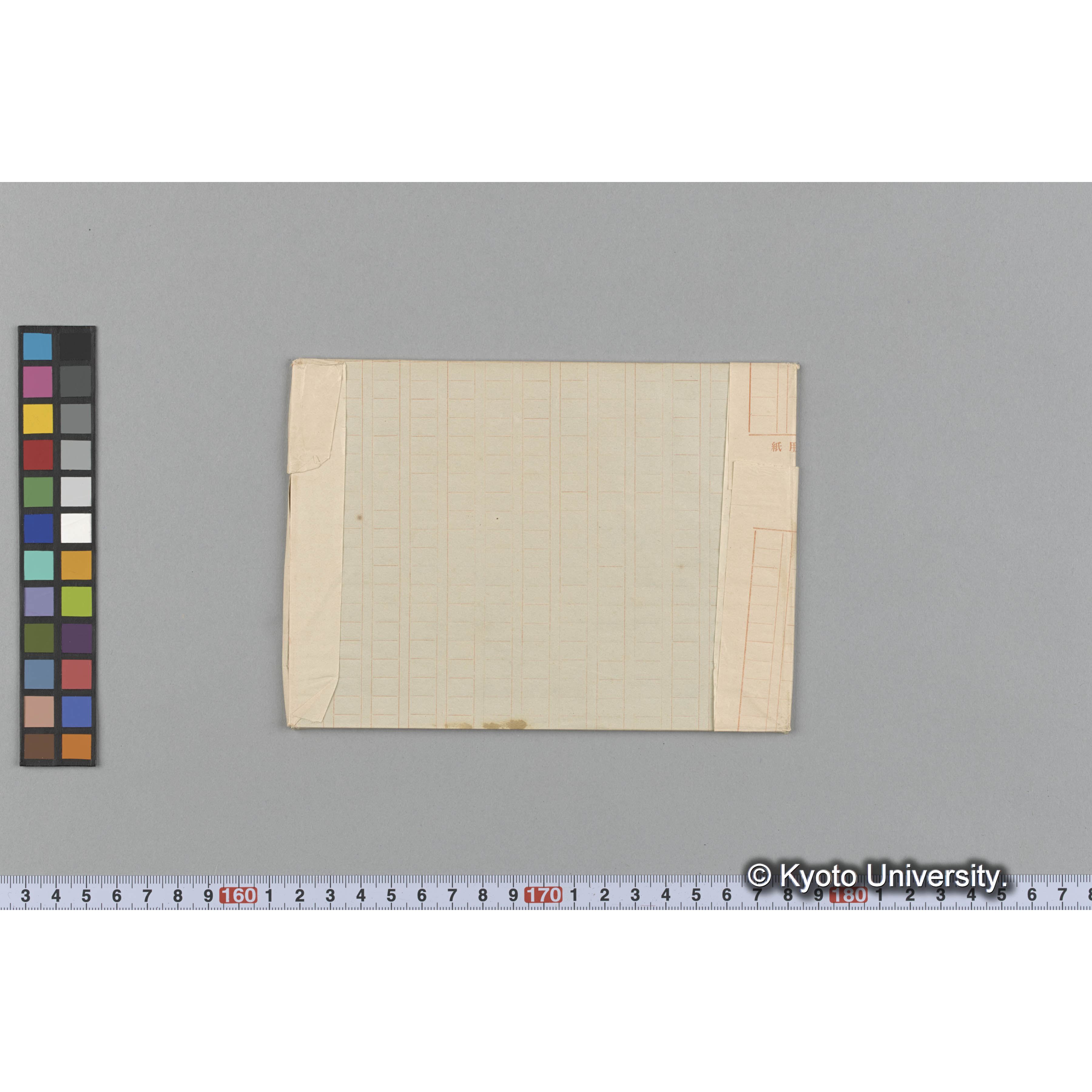 Cystoclonium ? armatum Harv. / Trinity College. （写真帳番号 38） (2)