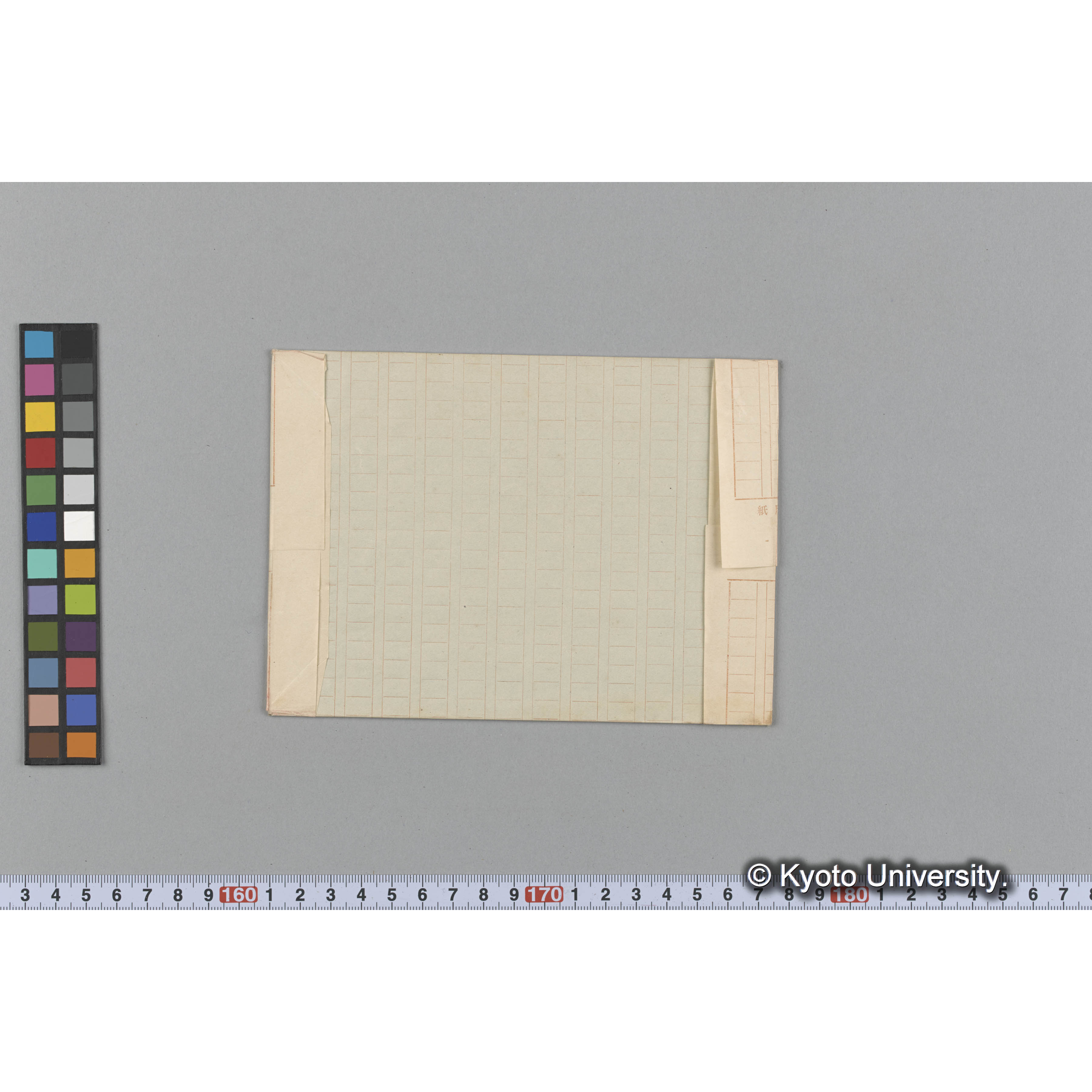 Chondriopsis dasyphylla var. sedifolia / Herb. J. Ag. （写真帳番号 25） (2)