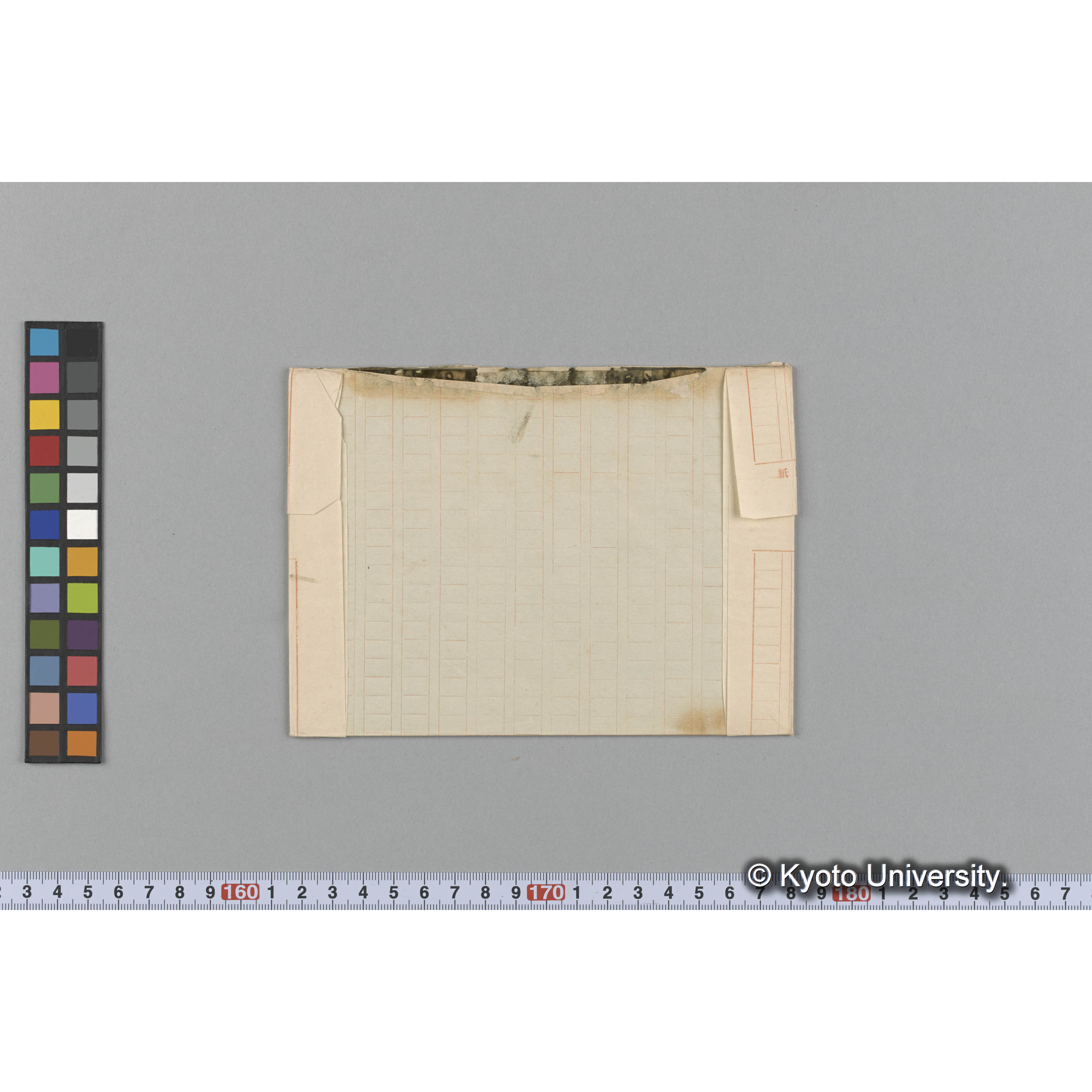 Mesogloia griffithsiana / Herb. Trinity Coll. / 外遊. p. 1729 （写真帳番号 88） (2)