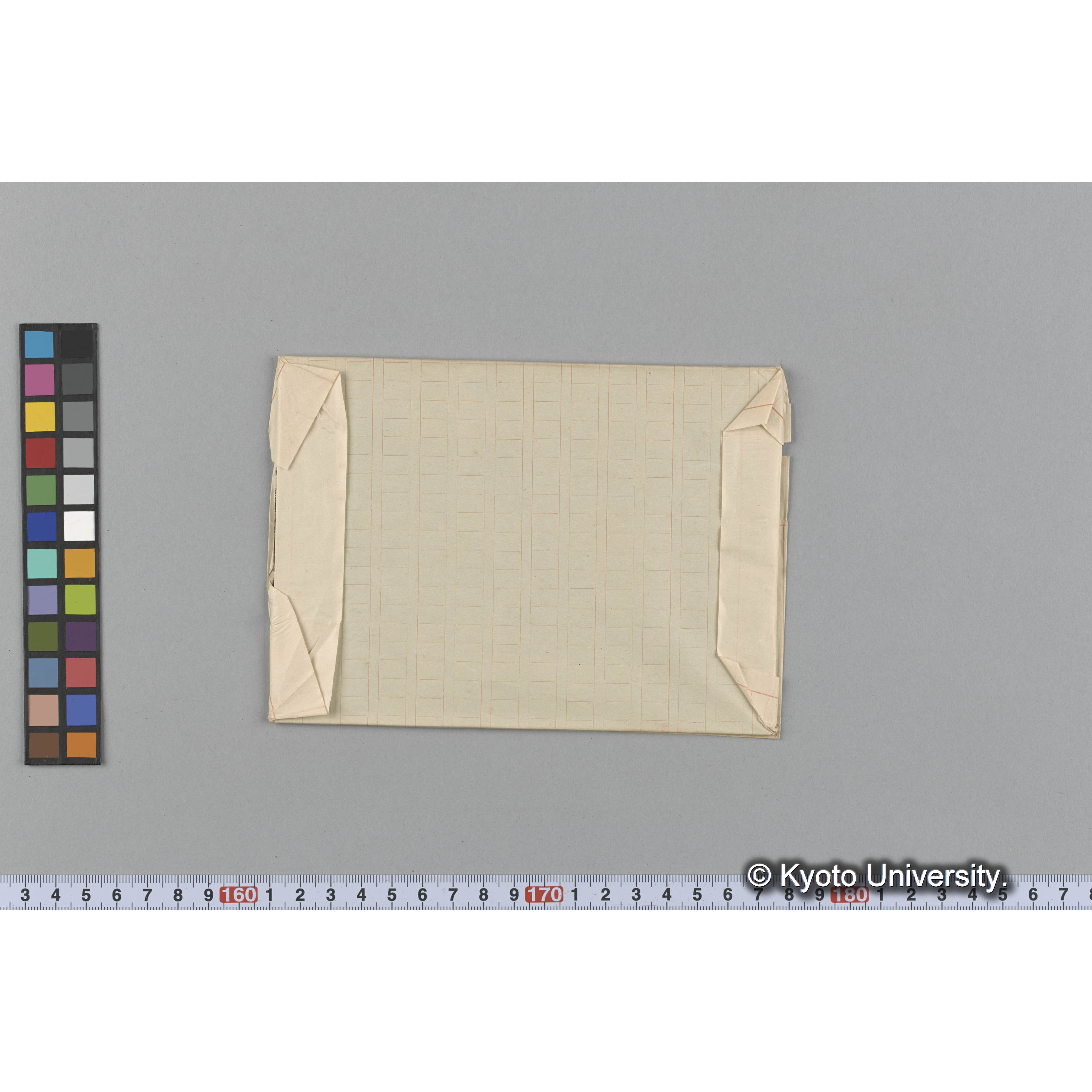 Claudea elegans / Herb. J. Agardh （写真帳番号 31） (2)