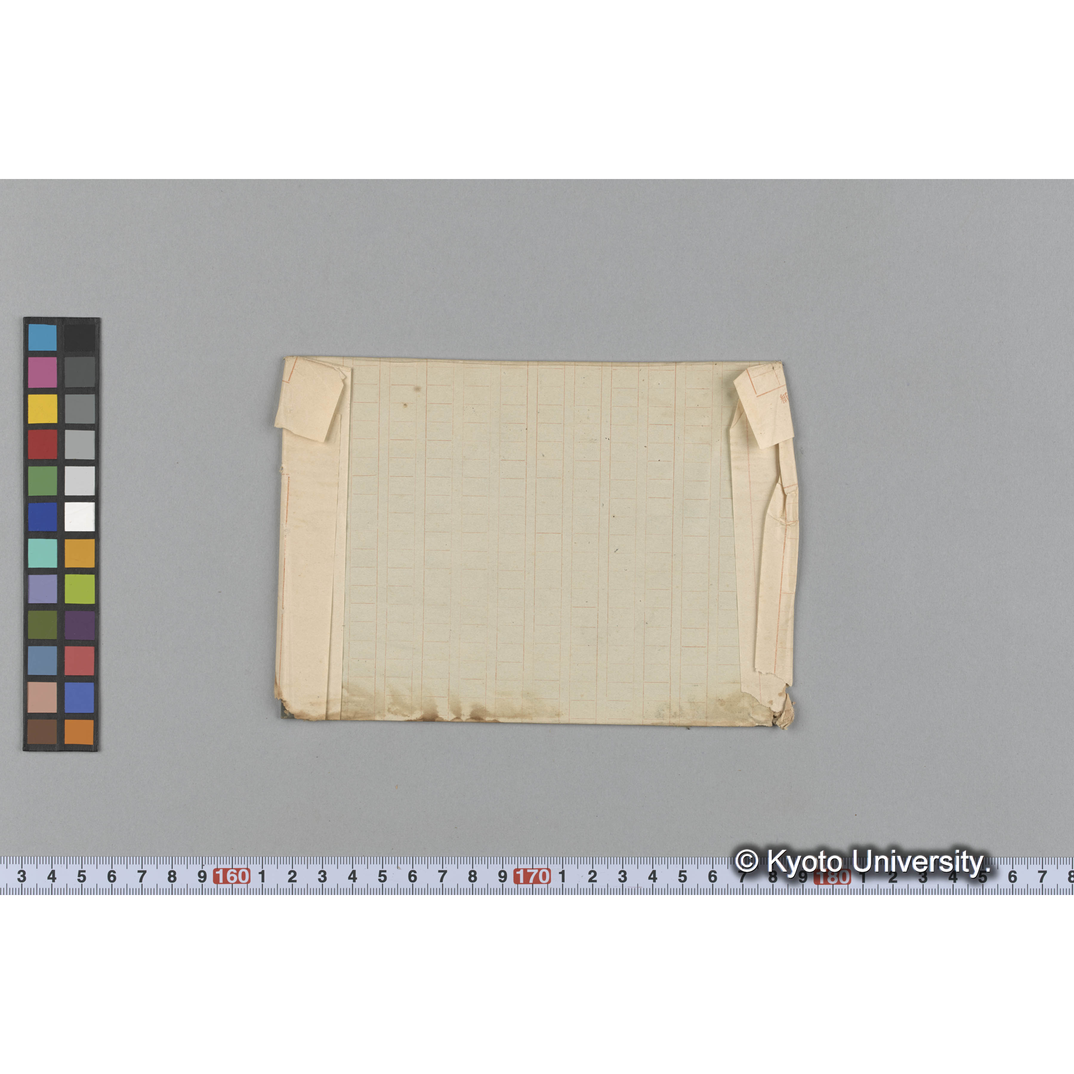 Aritw tianmnus bifidas / Shimushu (2)