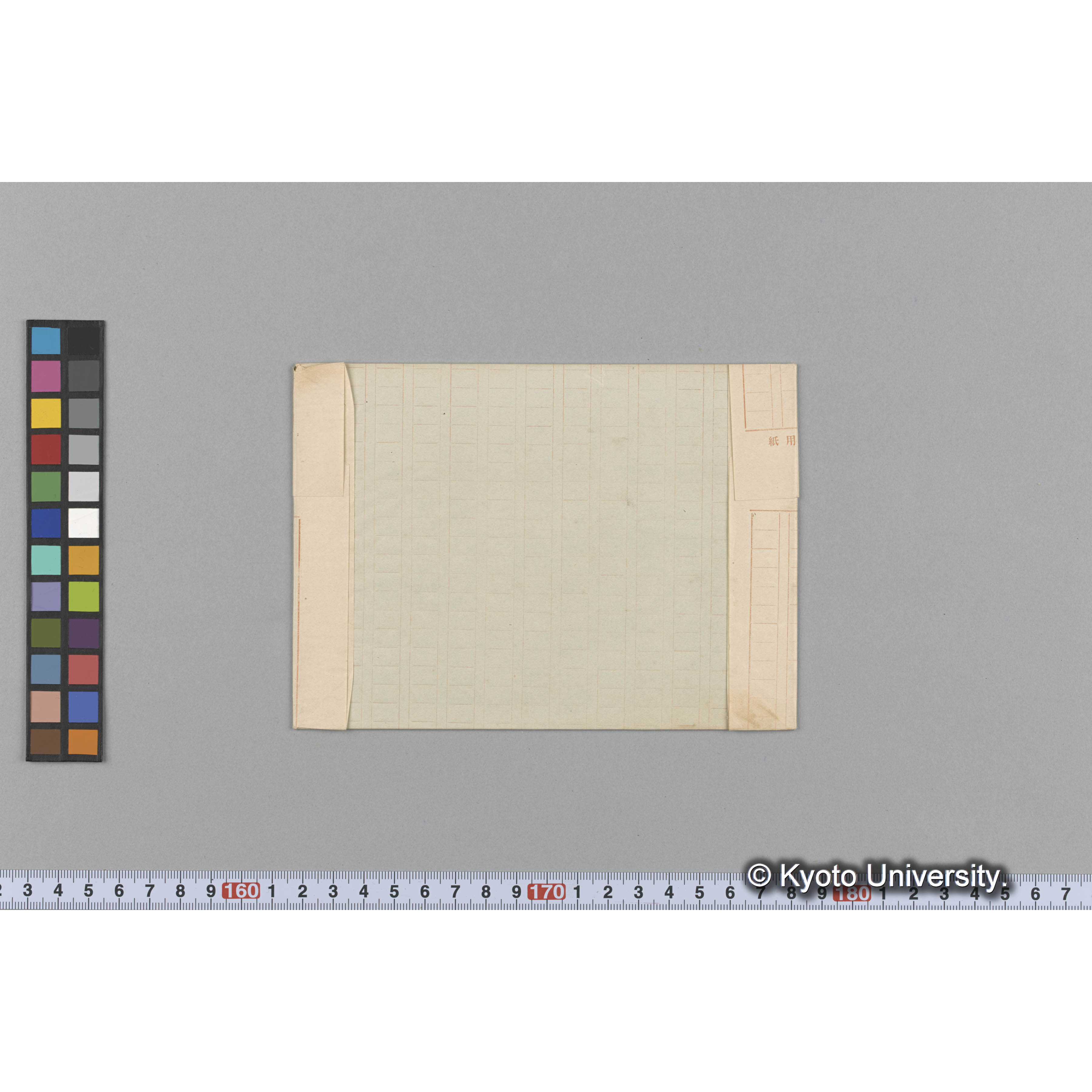 Gracilaria fruticosa / Herb. J. Agardh. （写真帳番号 50） (2)