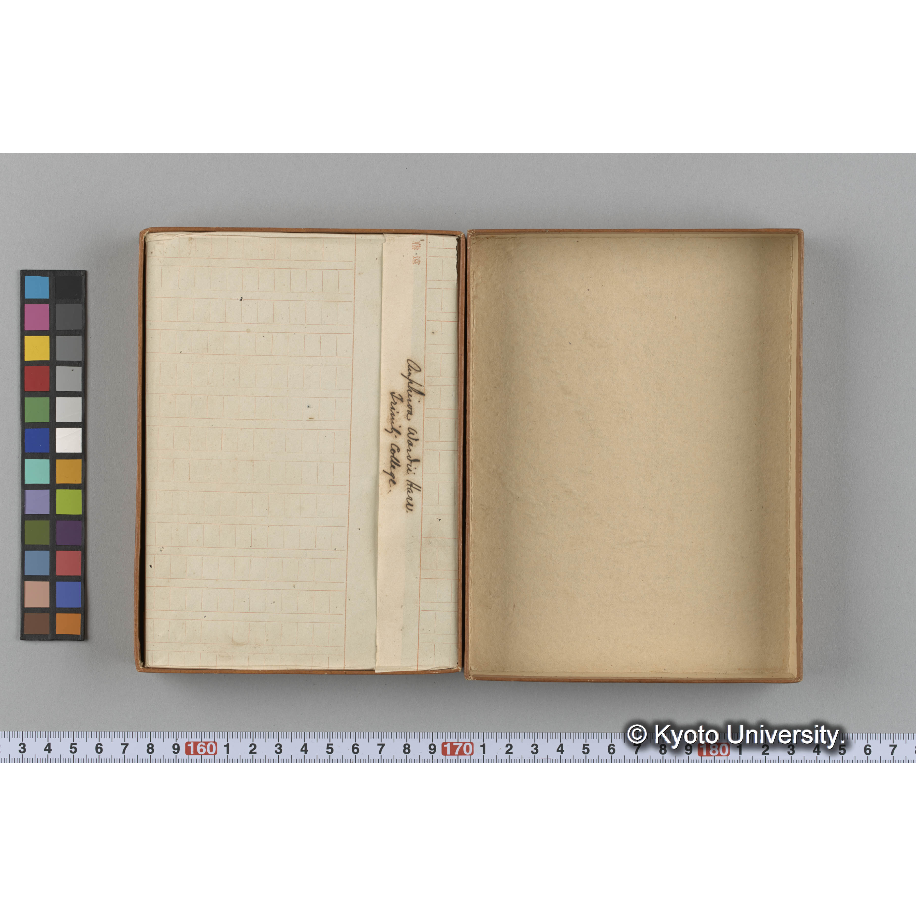 [ガラス乾板収納箱3.]algae 原板12 (2)