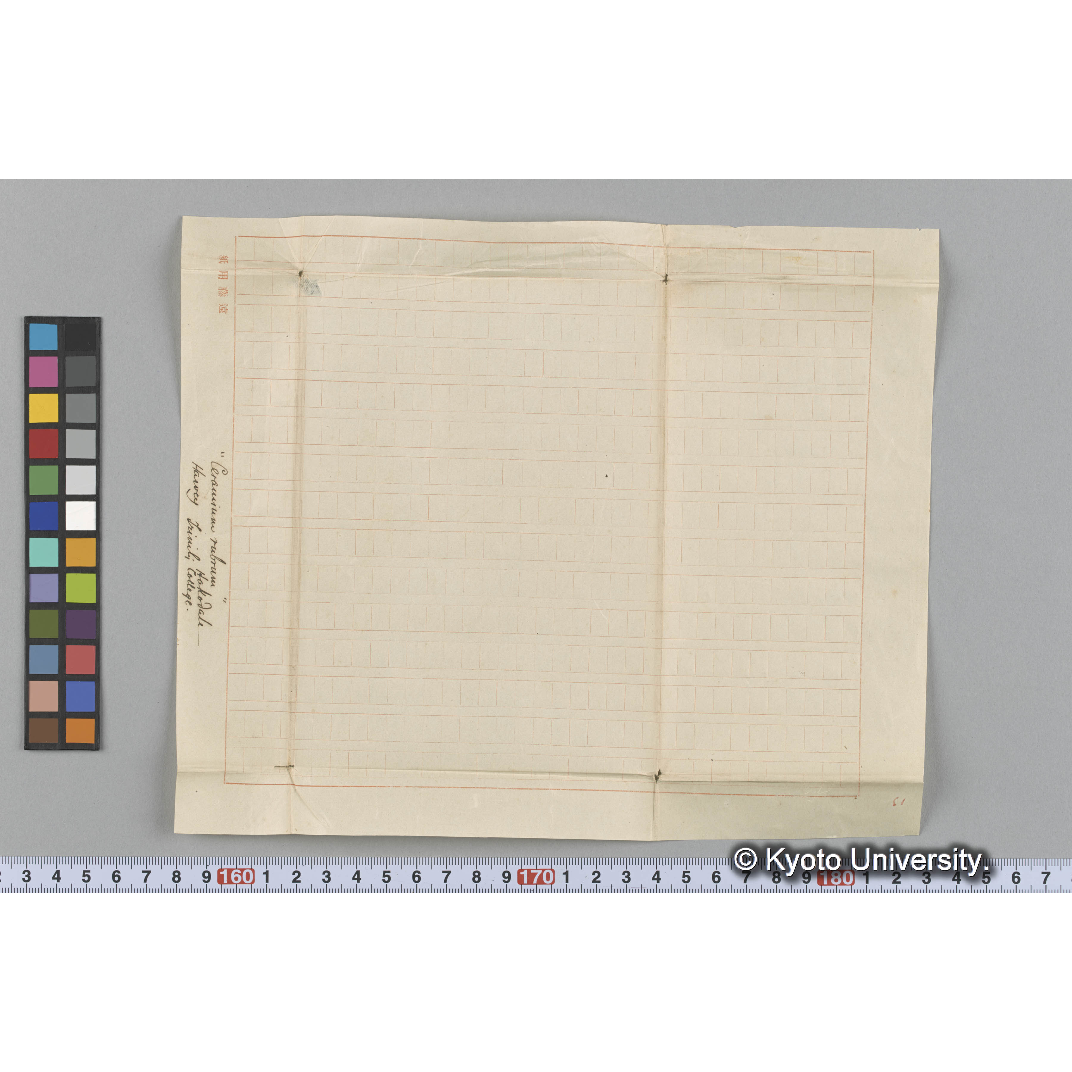 "Ceramium rubrum" / Harvey Trinity College / Hakodate （写真帳番号 22） (3)