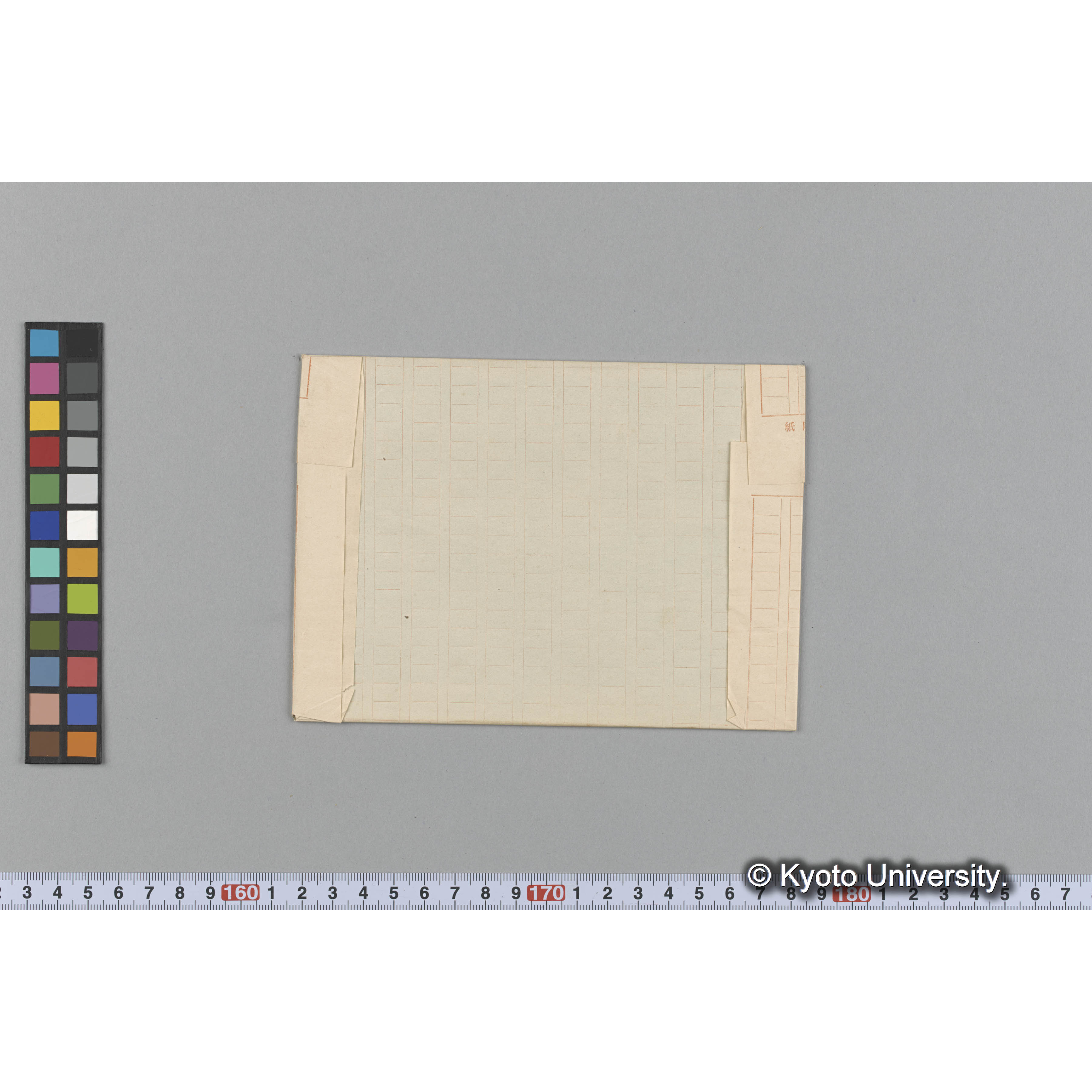 Chondrus crispus / Herb. J. Agardh. （写真帳番号 27） (2)