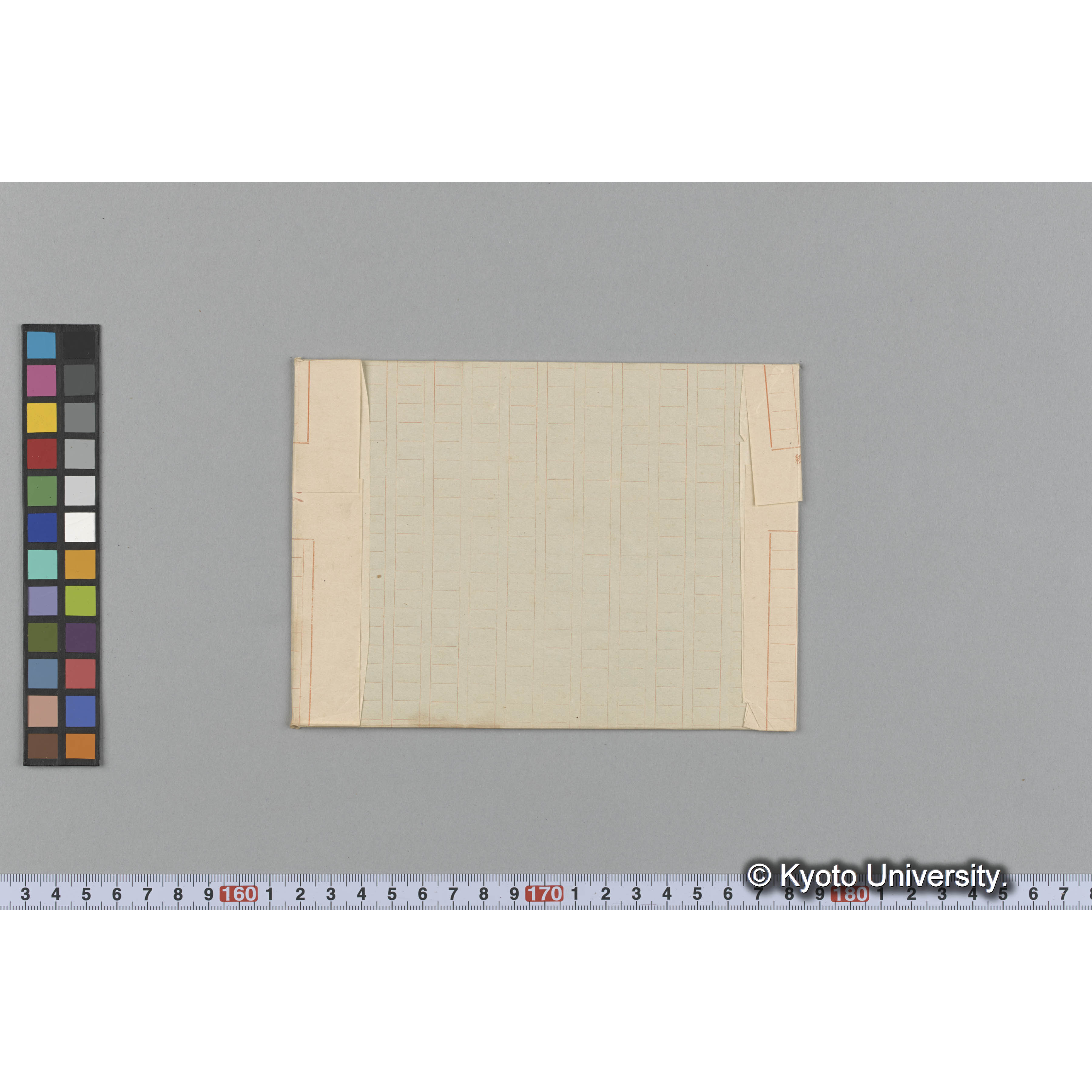 Eucheuma Schrammi / Herb. J. Ag. 34680 （写真帳番号 43） (2)