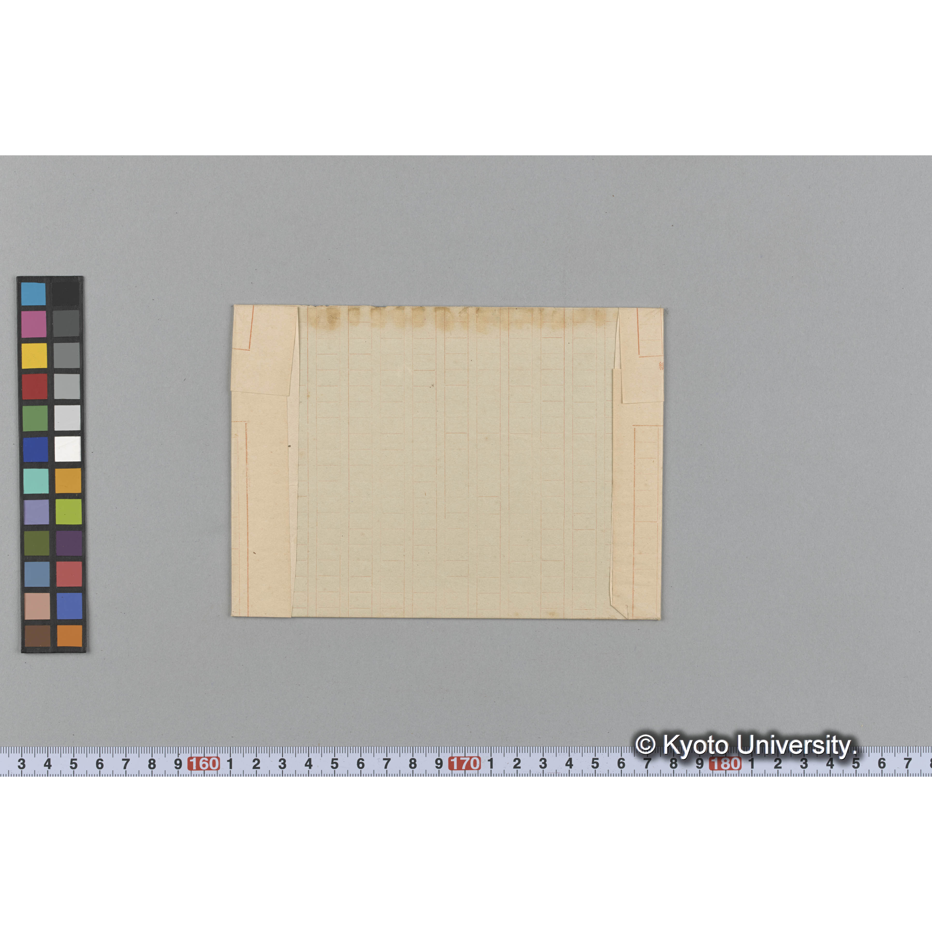 Microcoelia chilensis /Herb. J. Ag. （写真帳番号 90） (2)