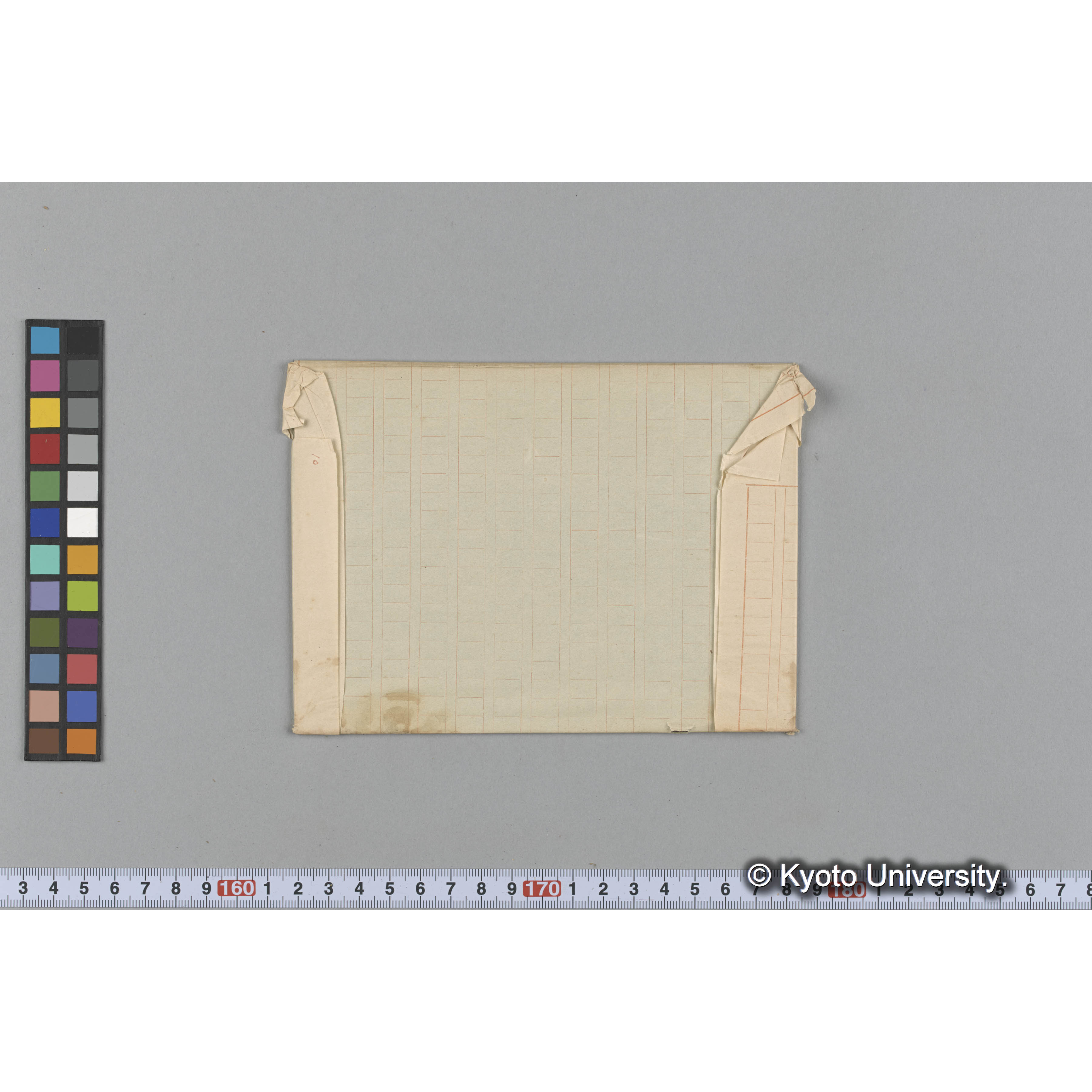 Ceramium Boydeni / 海産植物 (2)