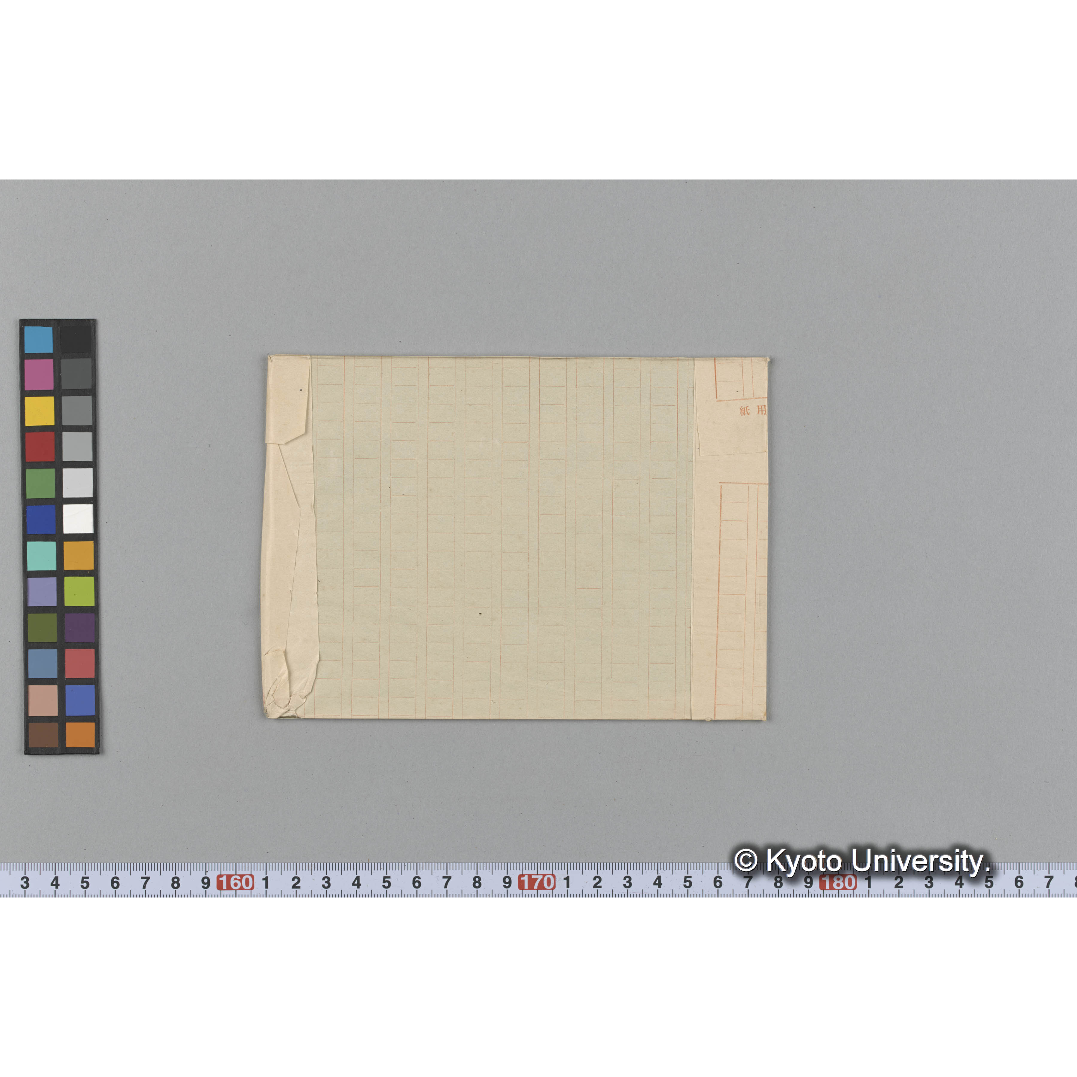 "Amphiroa galaxauroides" / 外 p.1662 / Herb. Trinity Coll. / Harv. Austr. Alg. 458 （写真帳番号 9） (2)