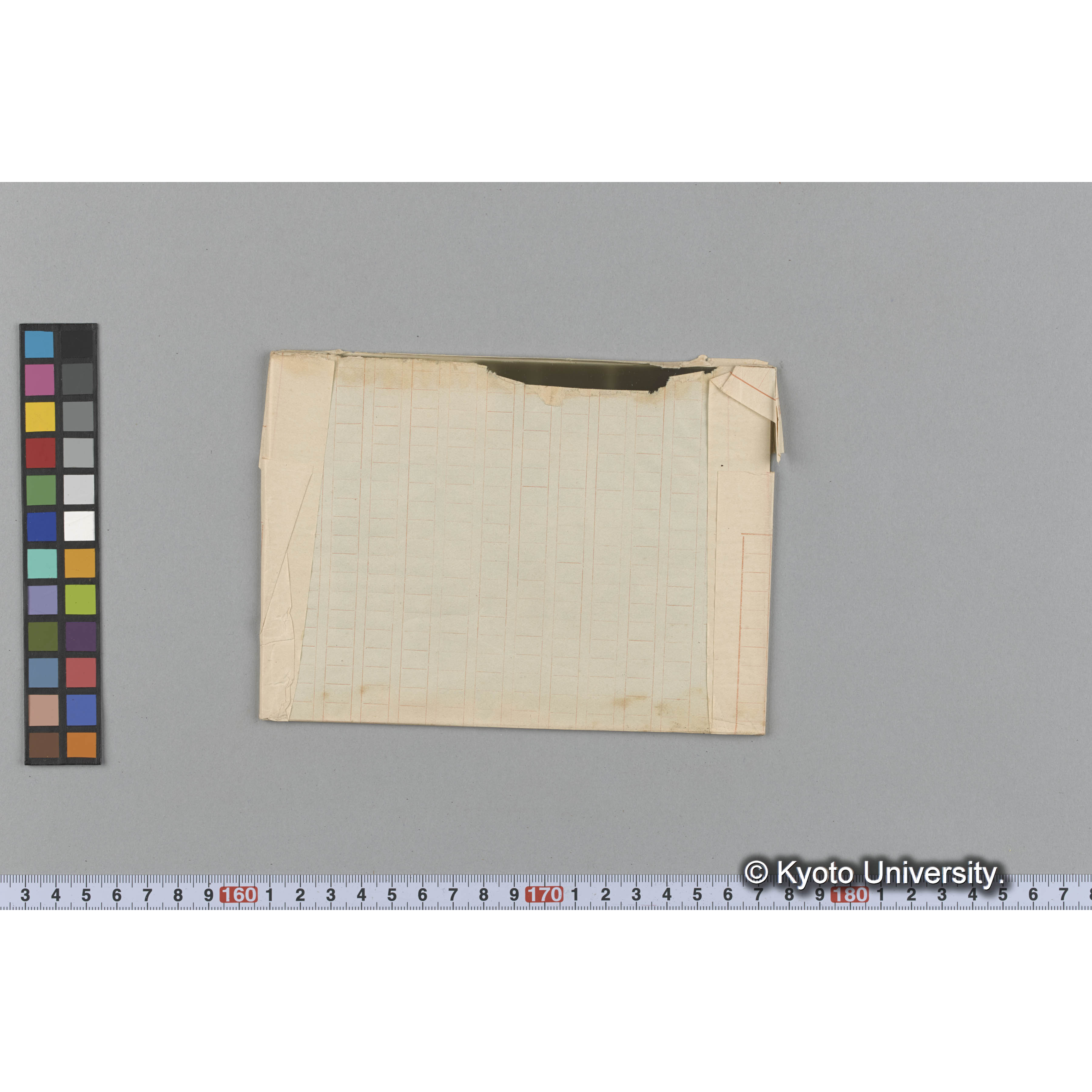 "Microcladia borealis" / Herb. Trinity Coll. / Loochoo, Wright / 外遊二年 p.1711-1712 / photo 8/11 nat. size. （写真帳番号 89） (2)