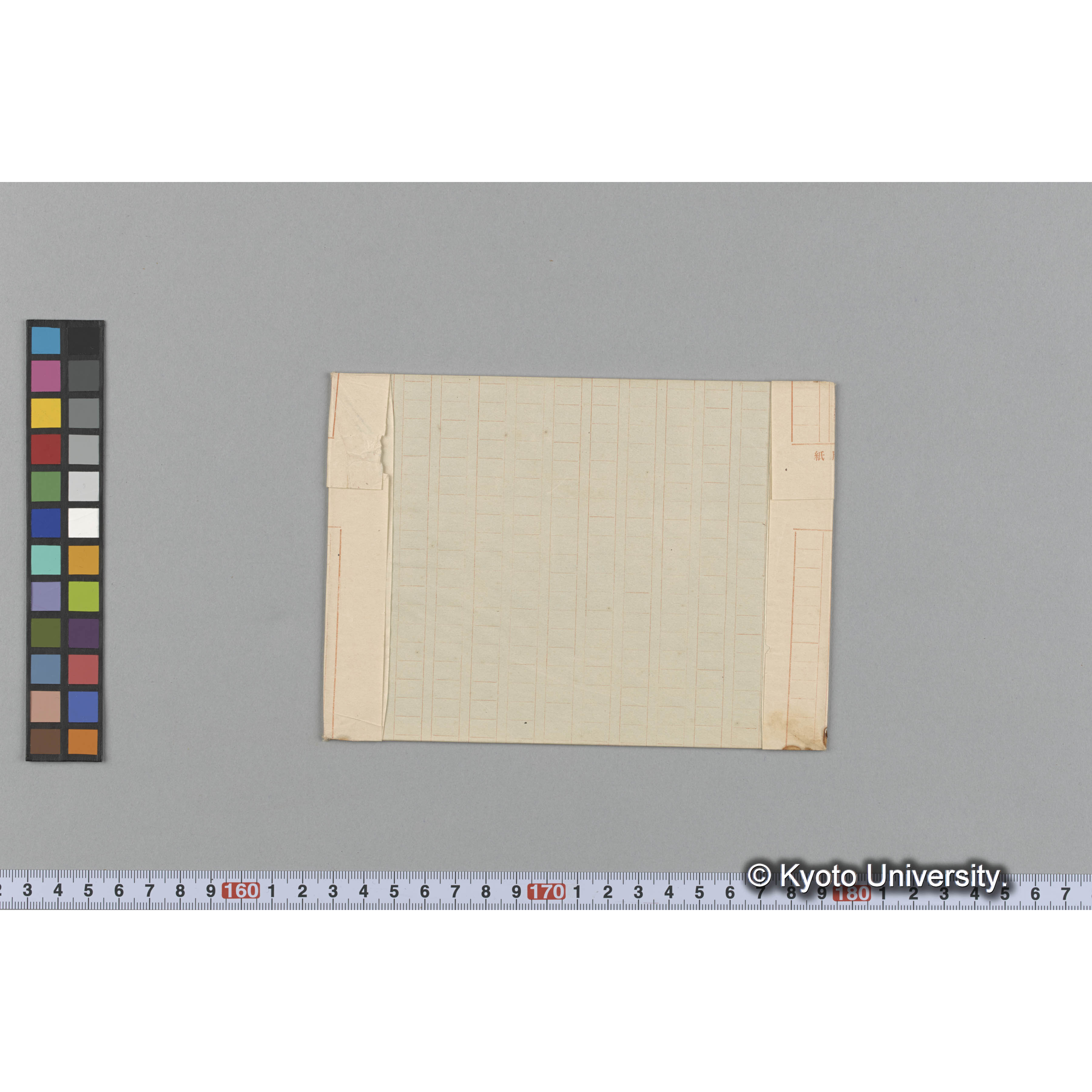 Halymenia ceylanica Harvey / Trinity College （写真帳番号 59） (2)